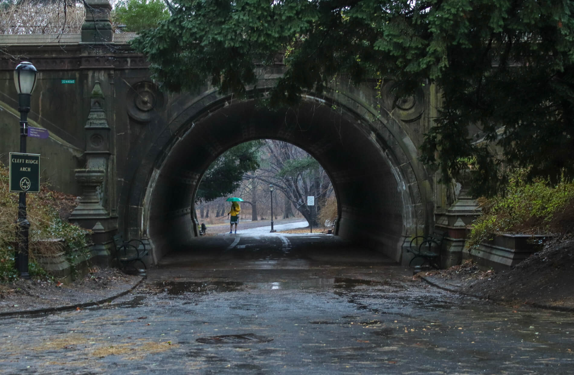 prospect park