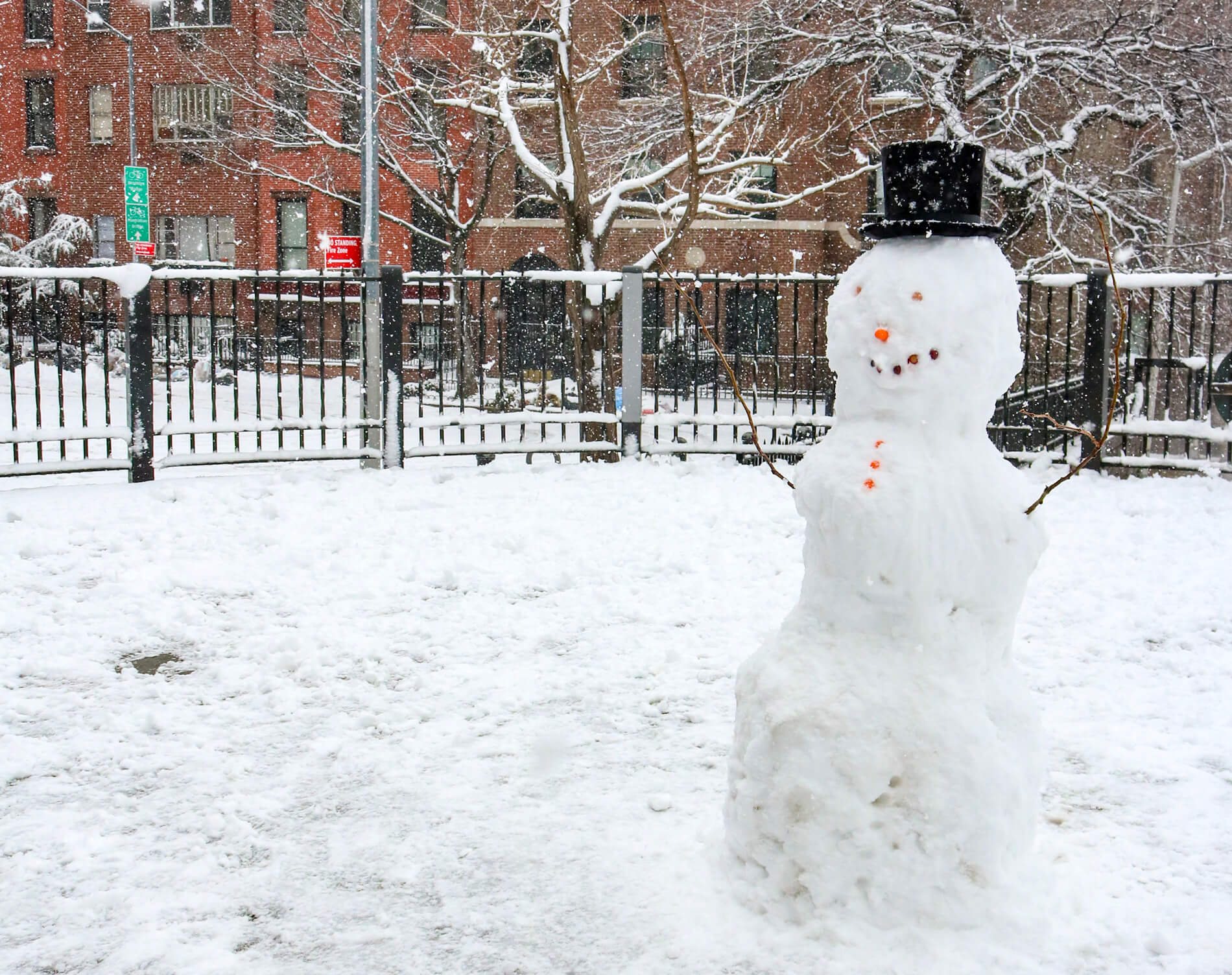 brooklyn snow