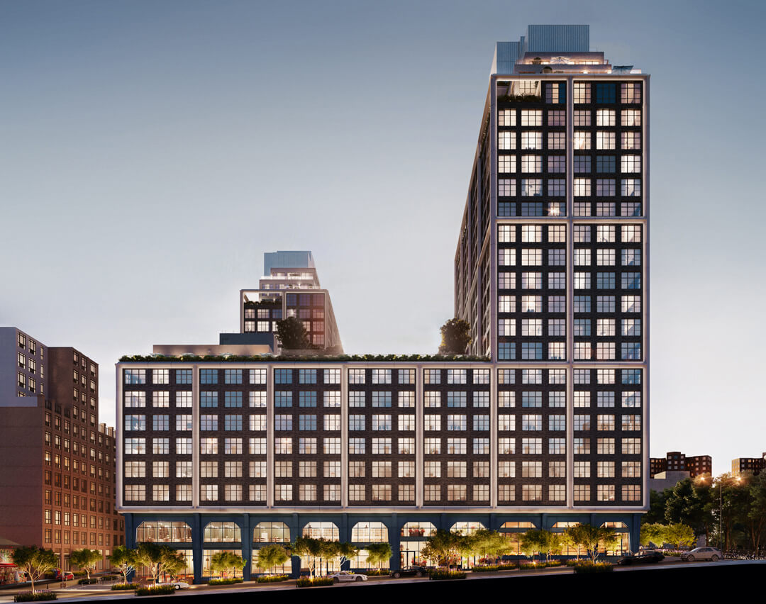 dumbo rendering