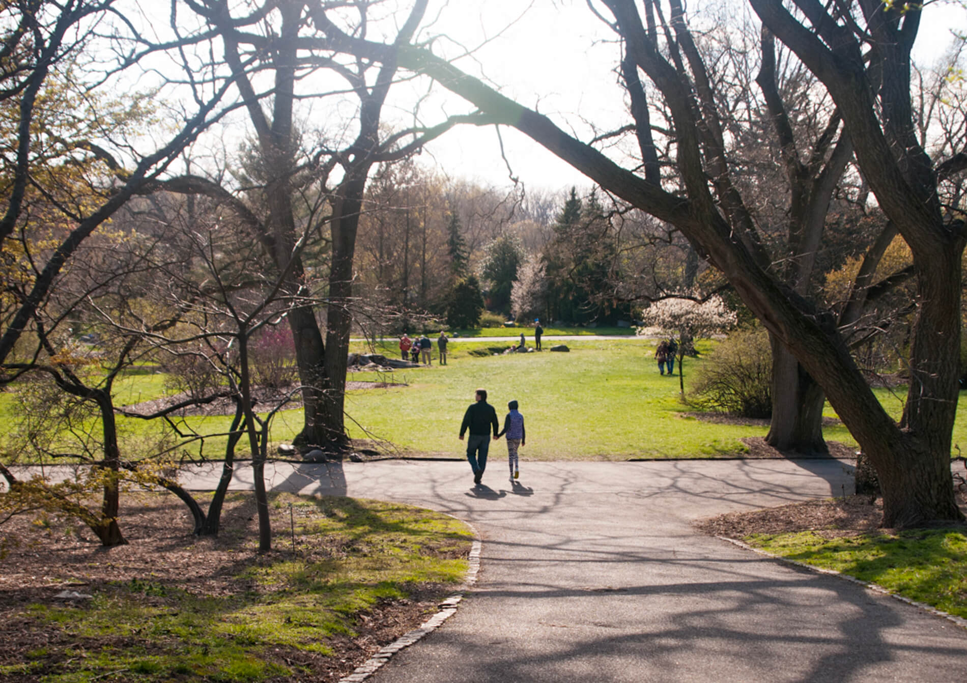 brooklyn botanic garden