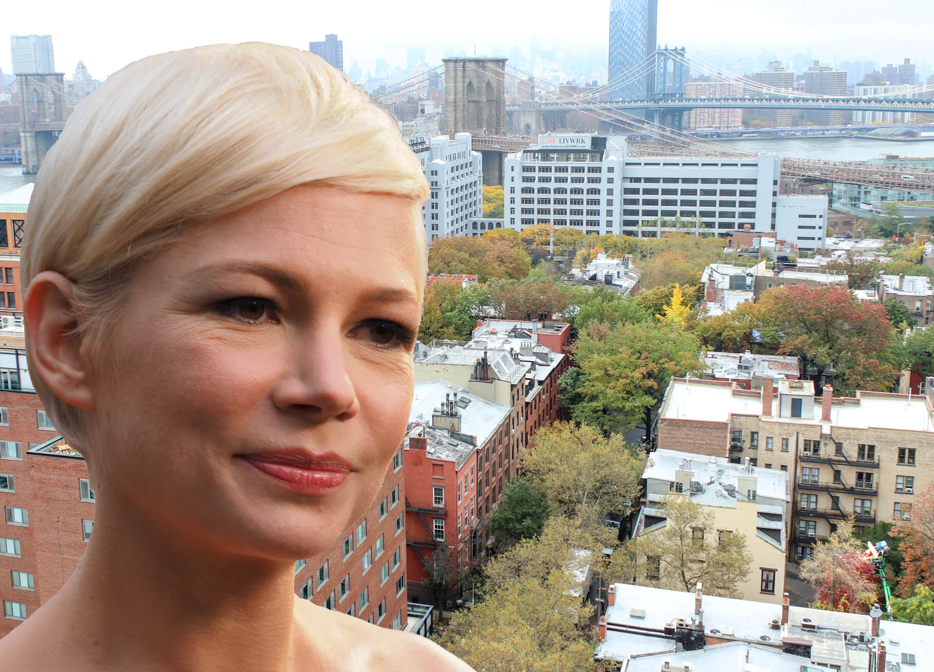 michelle williams