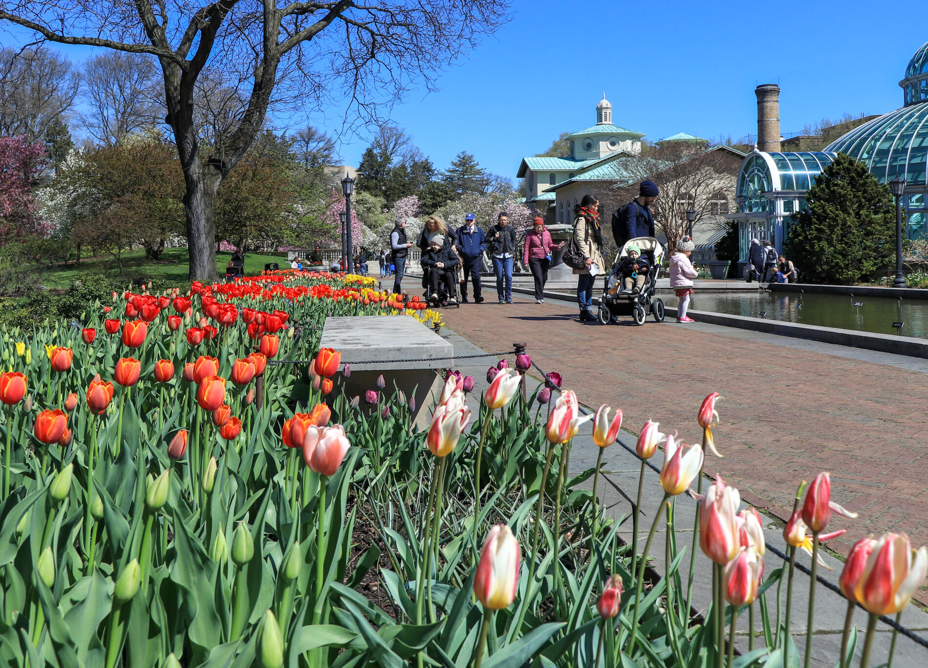 brooklyn botanic garden