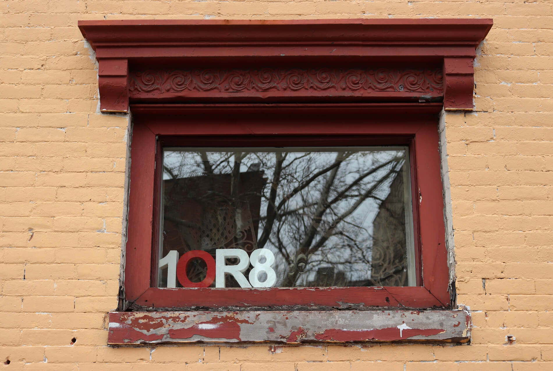 229 dekalb avenue