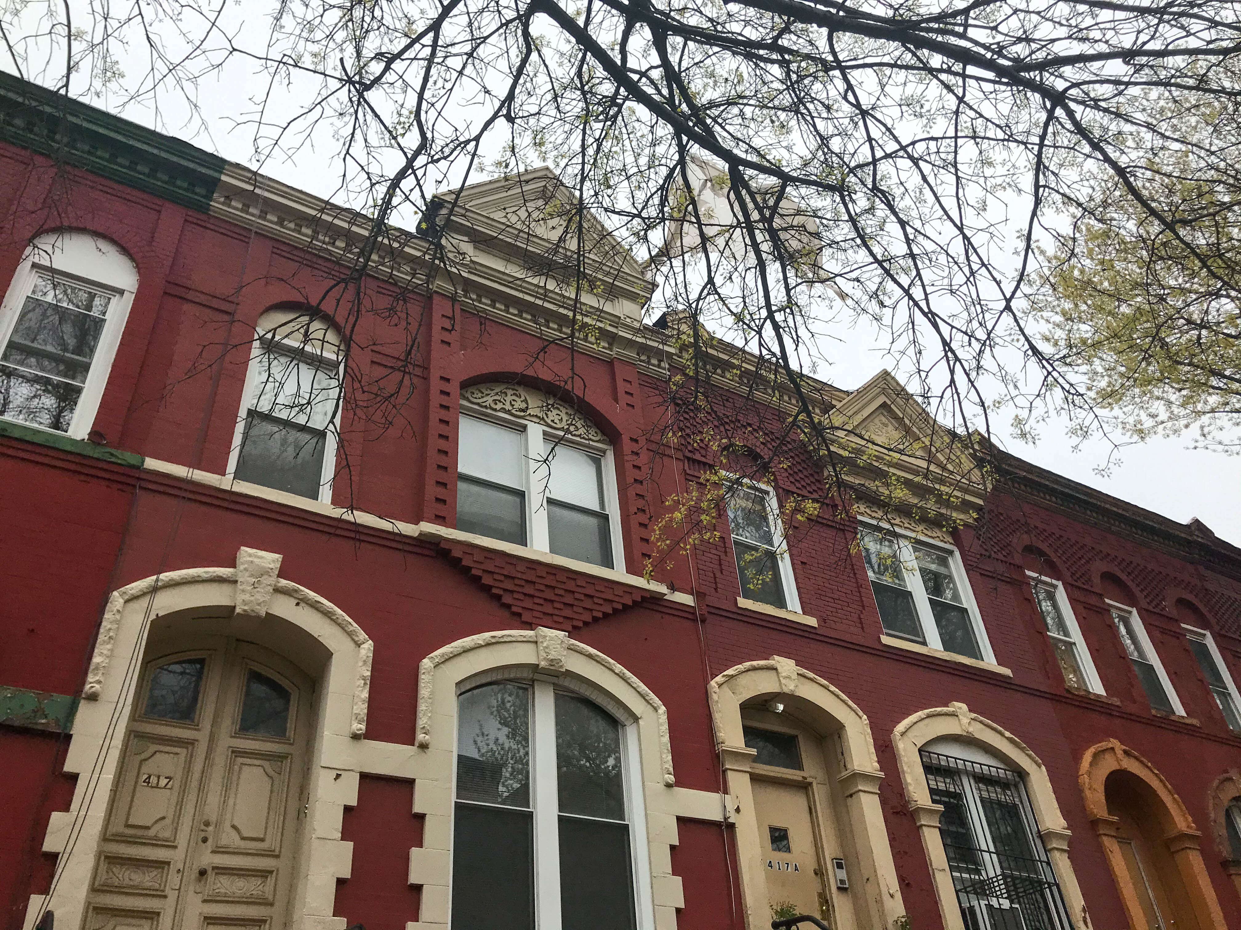 bed stuy