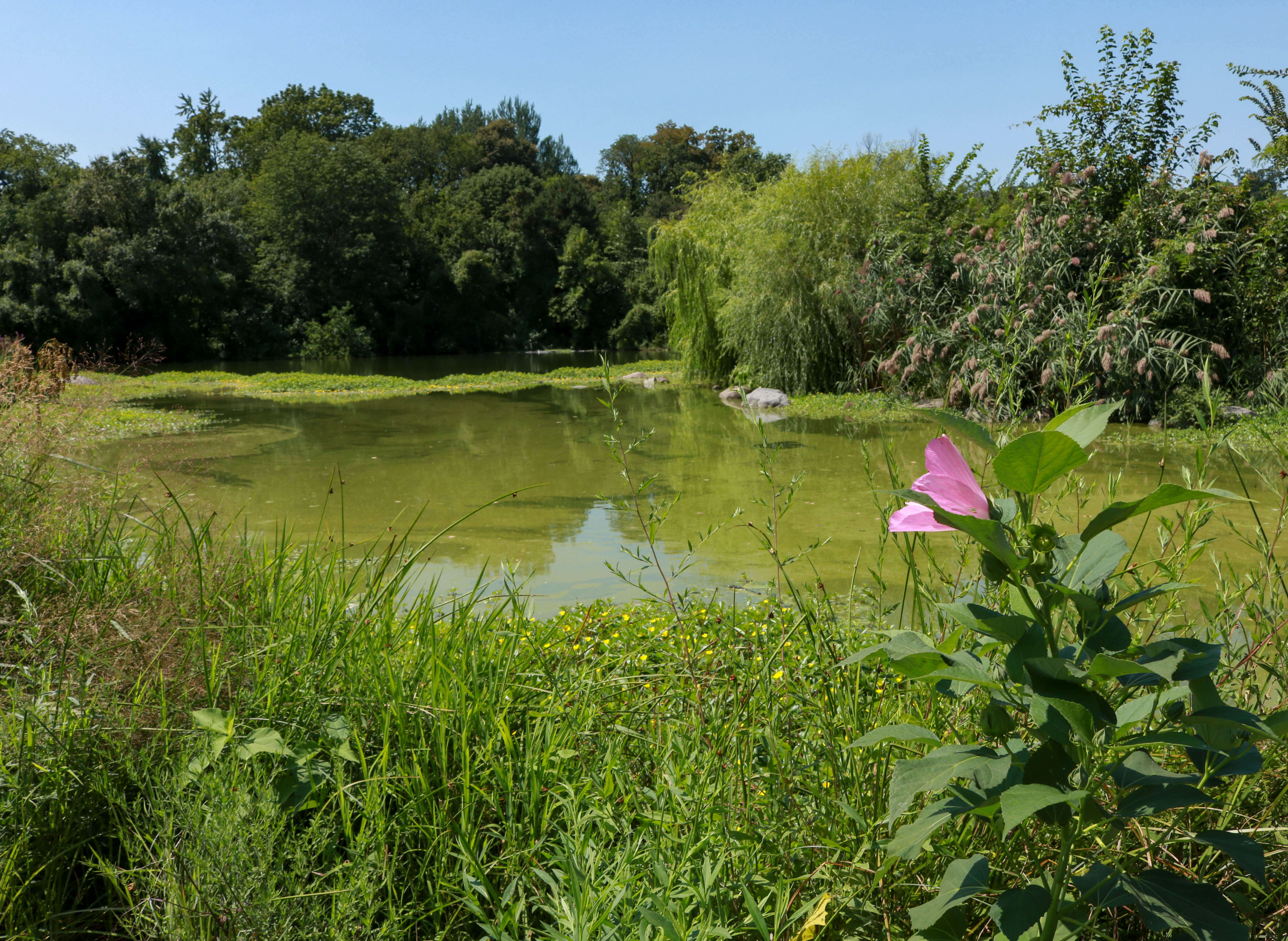 prospect park