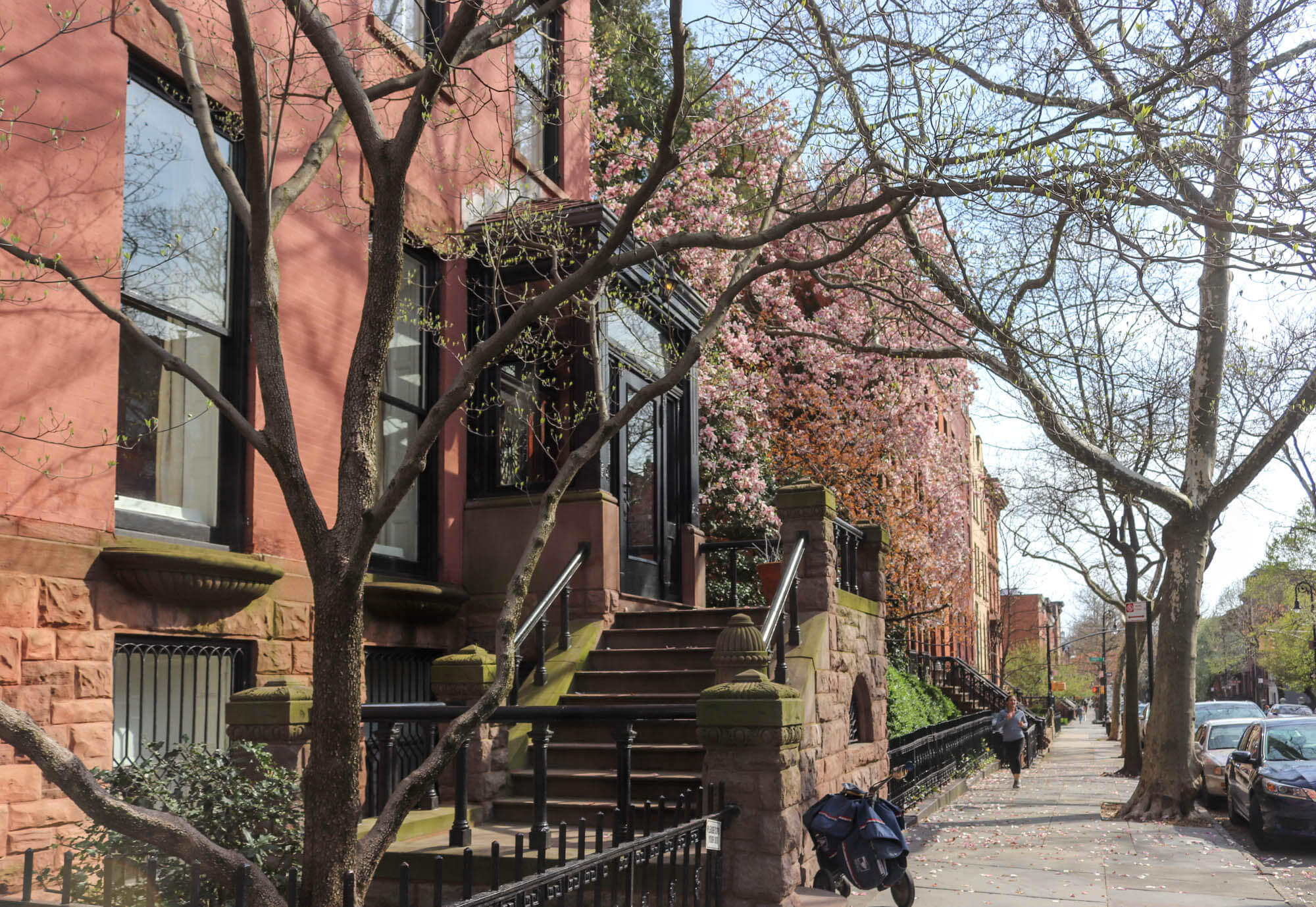 cobble hill