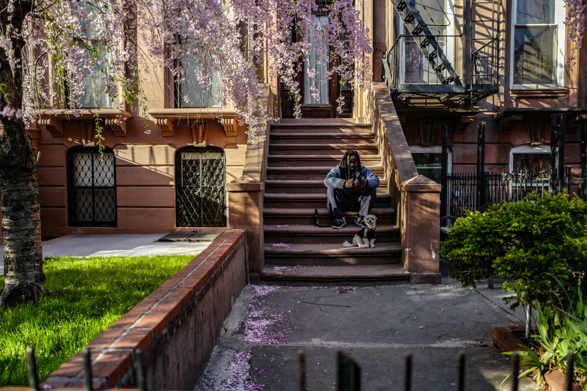 francesca magnani stoop