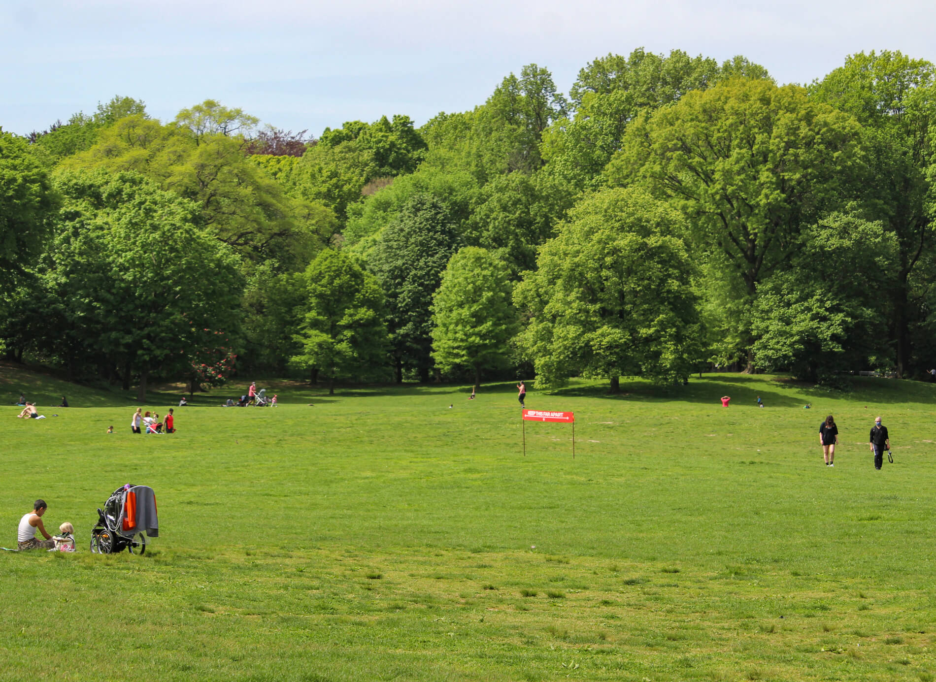 prospect park