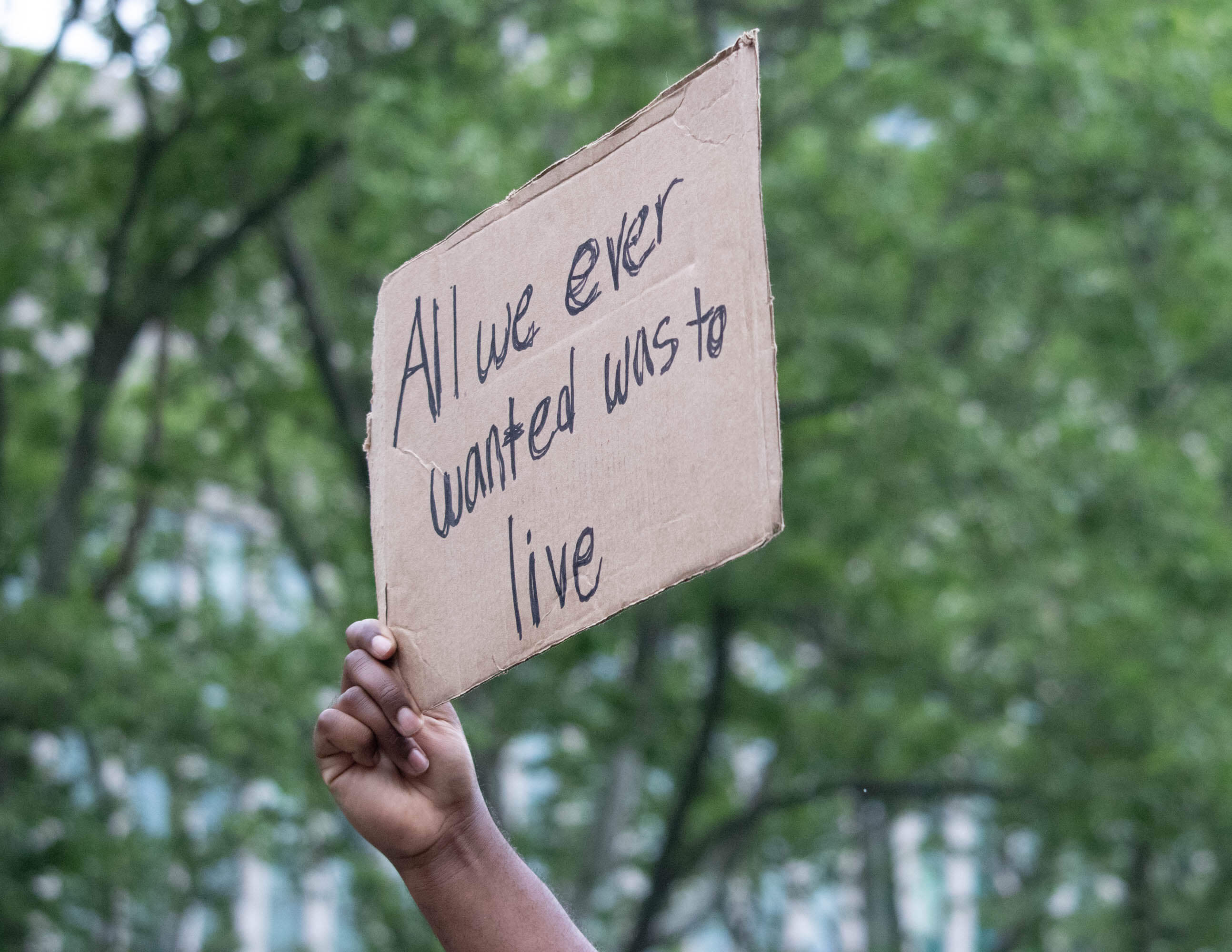 brooklyn protest sign