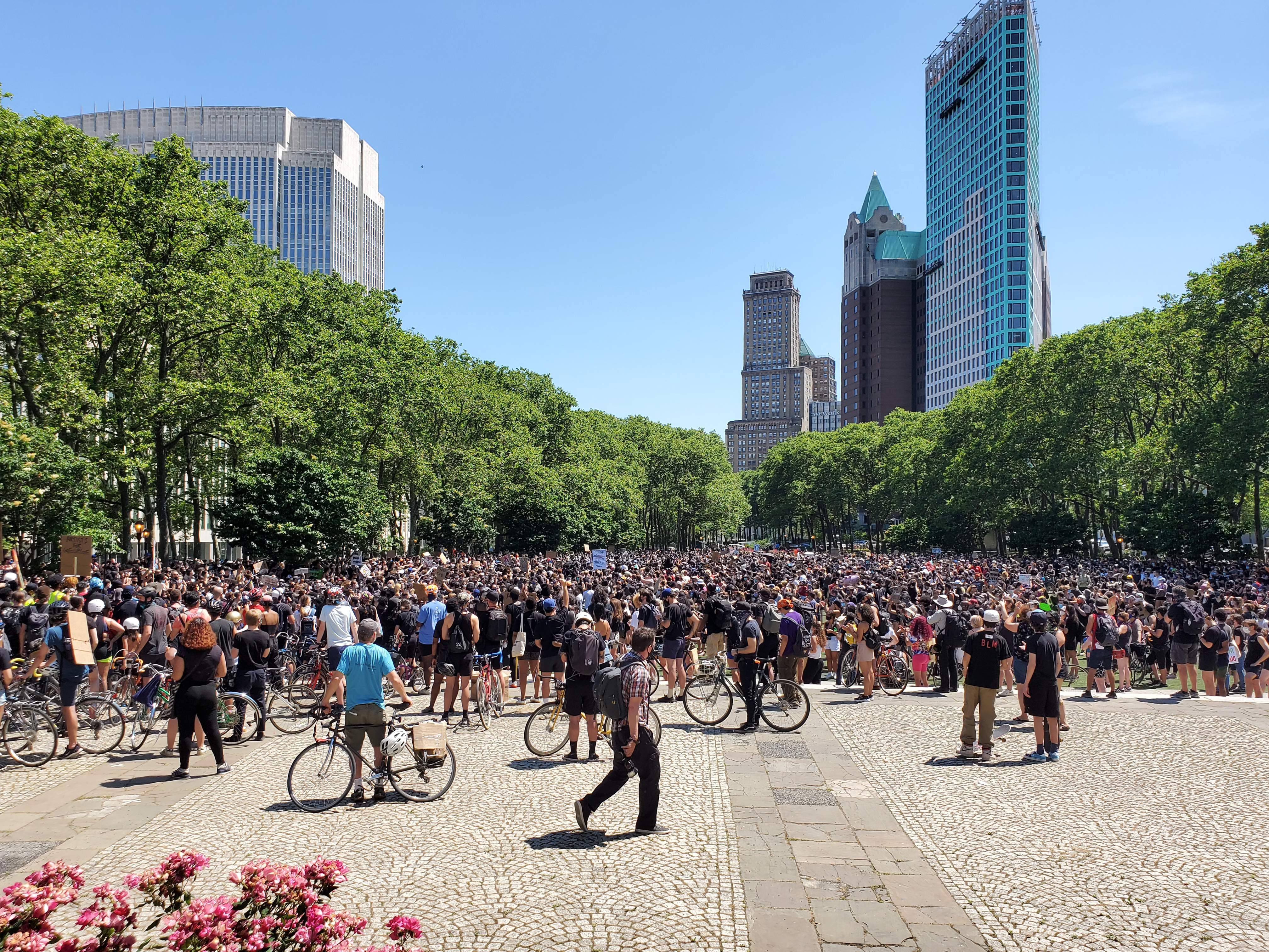 cadman plaza protest