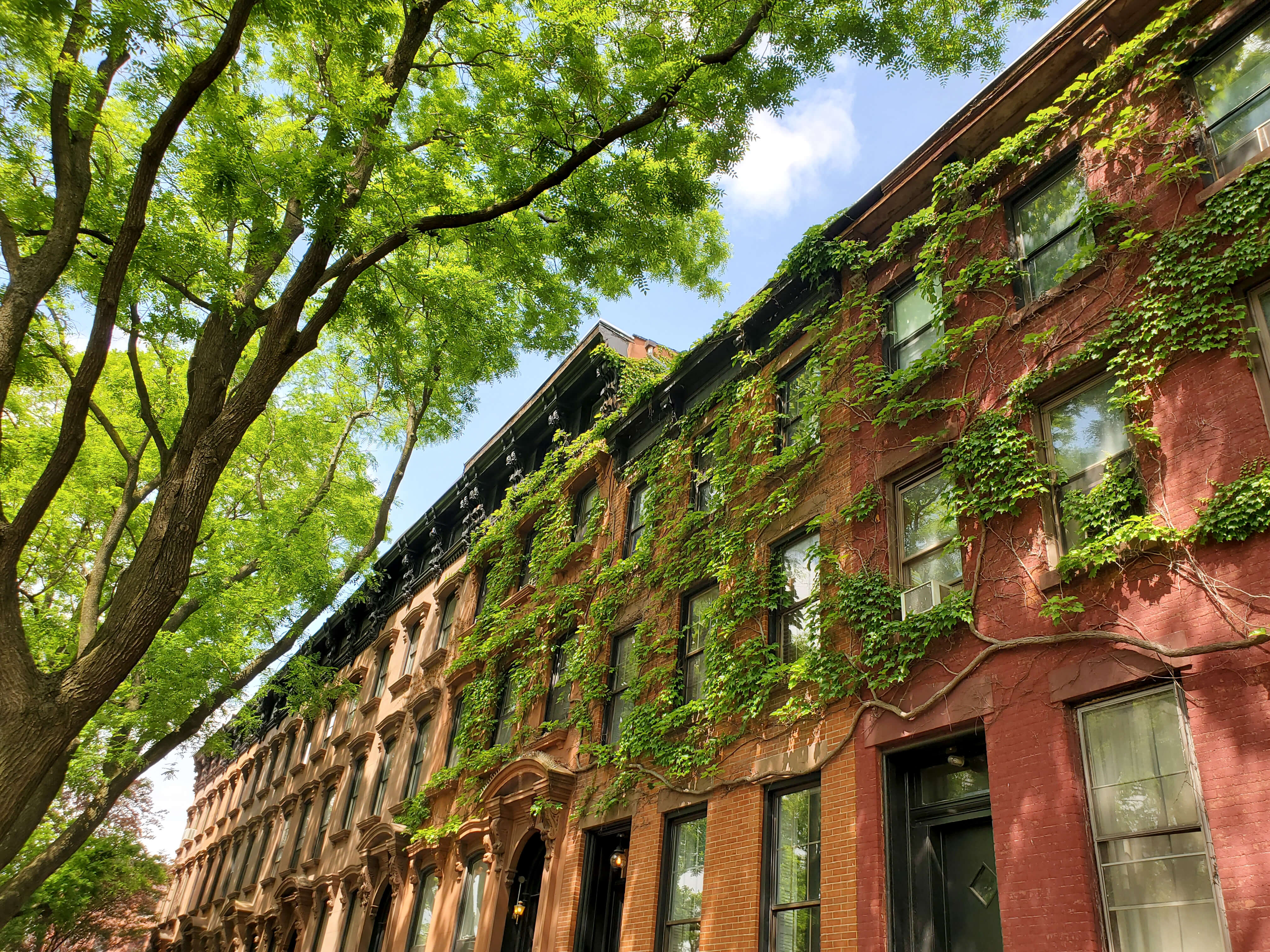fort greene