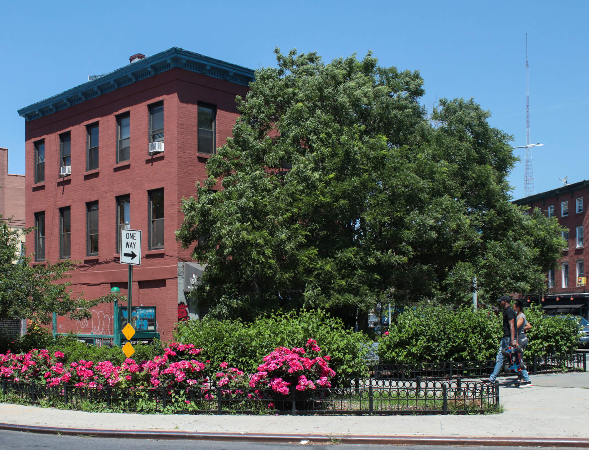 fort greene