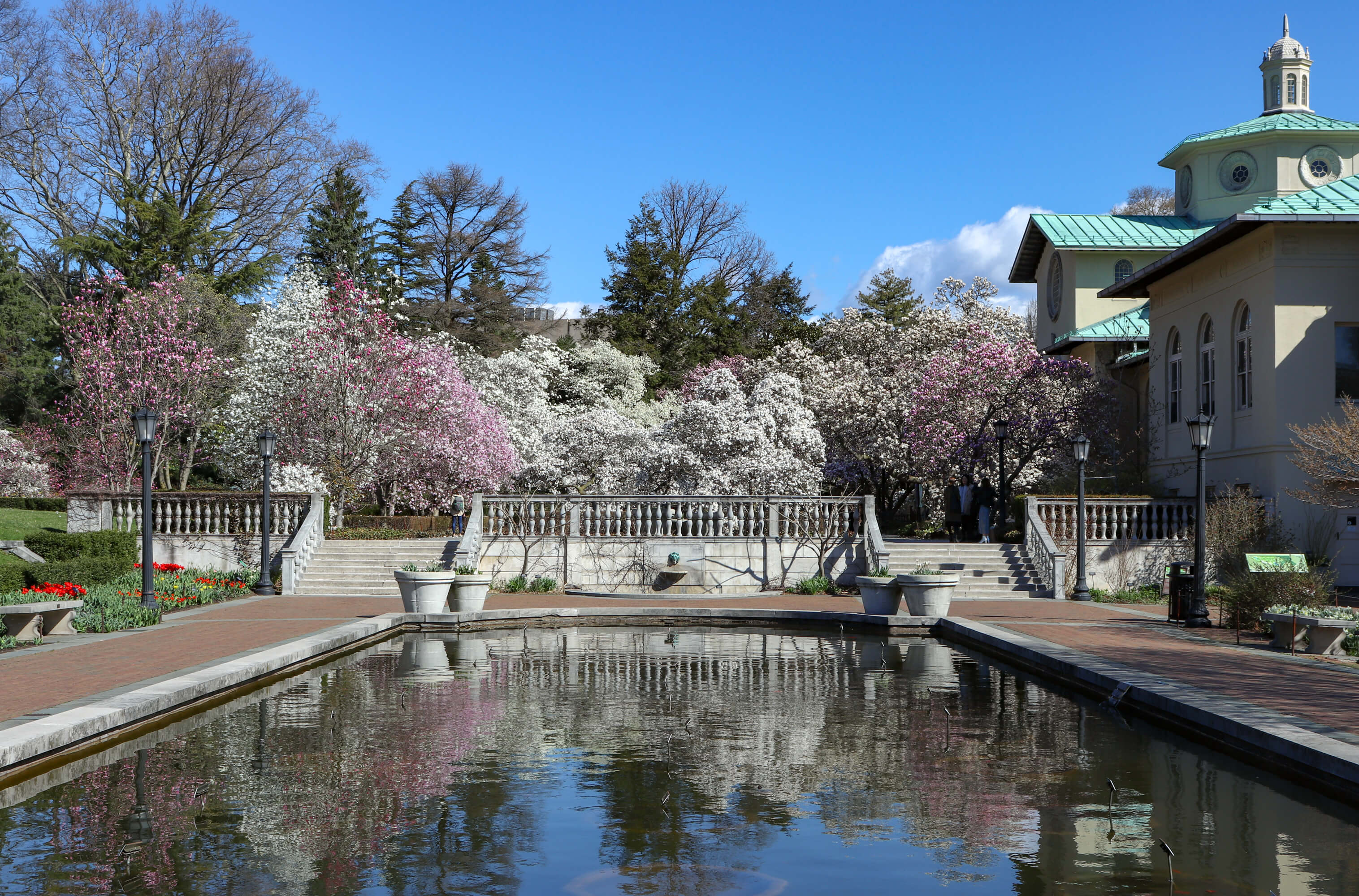 brooklyn botanic garden