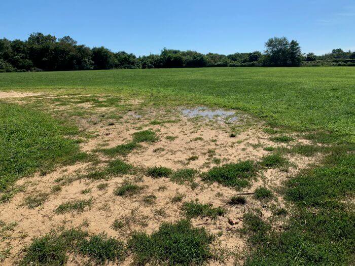 gerritsen beach ballfields