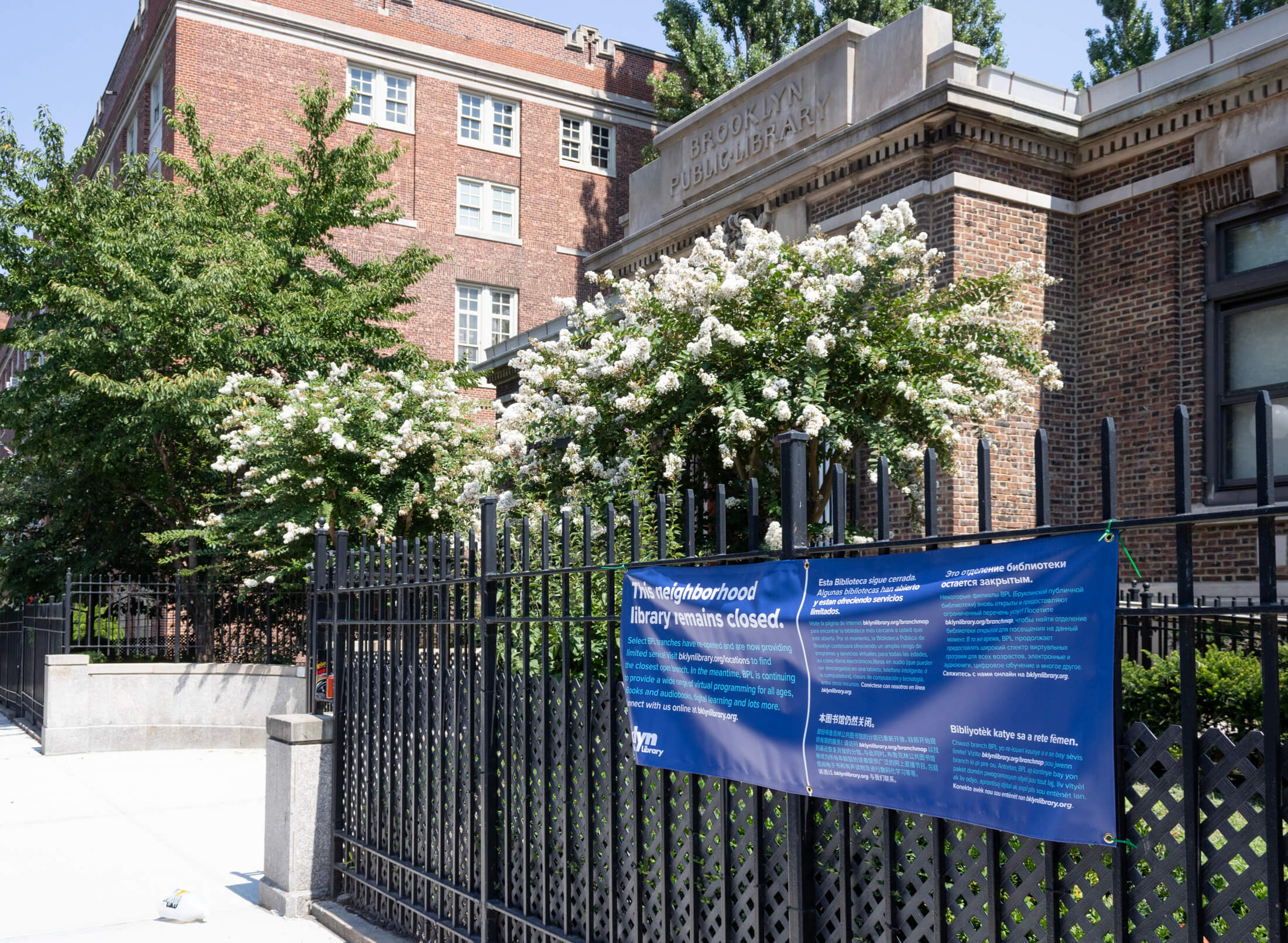 walt whitman library