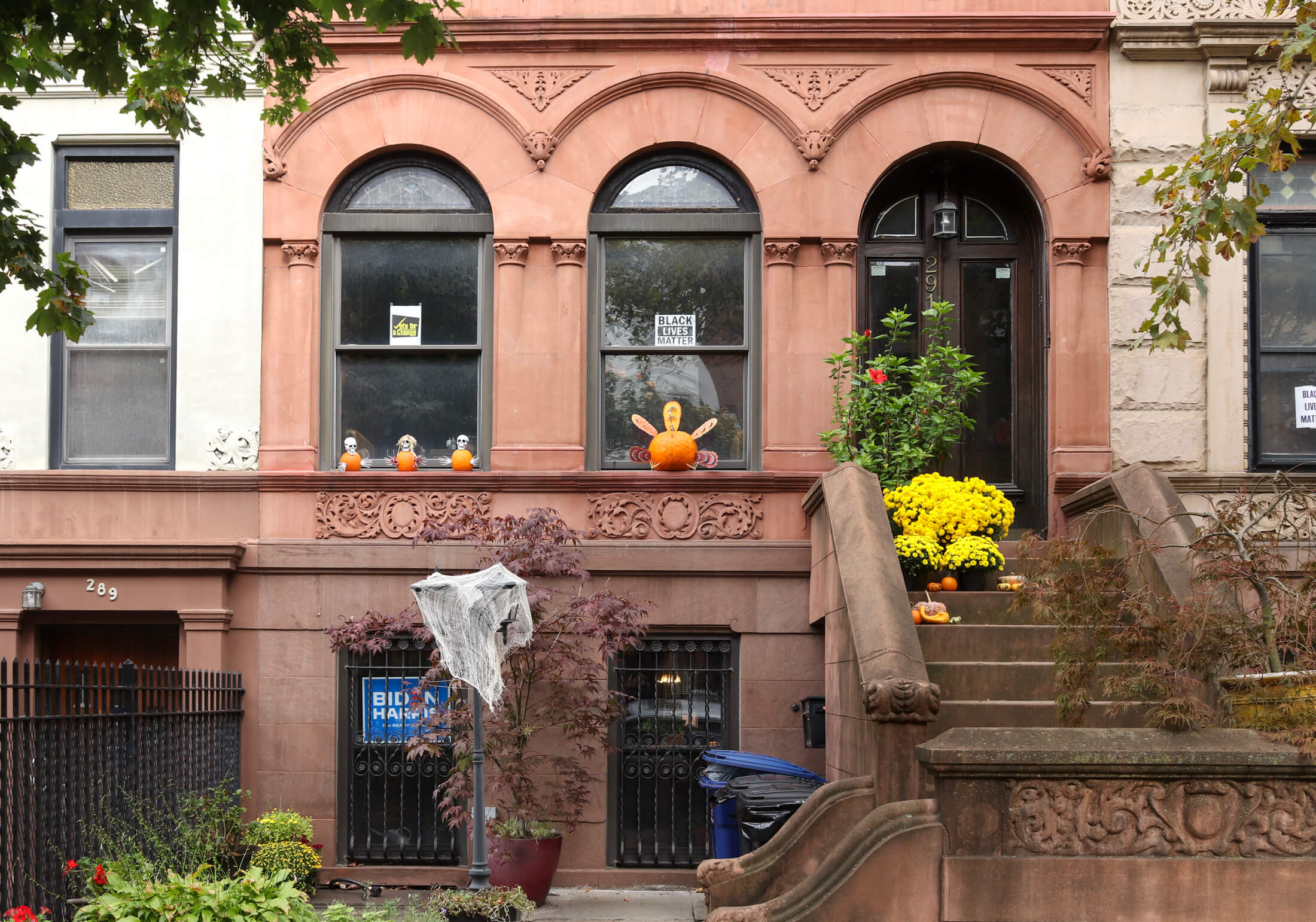 prospect heights