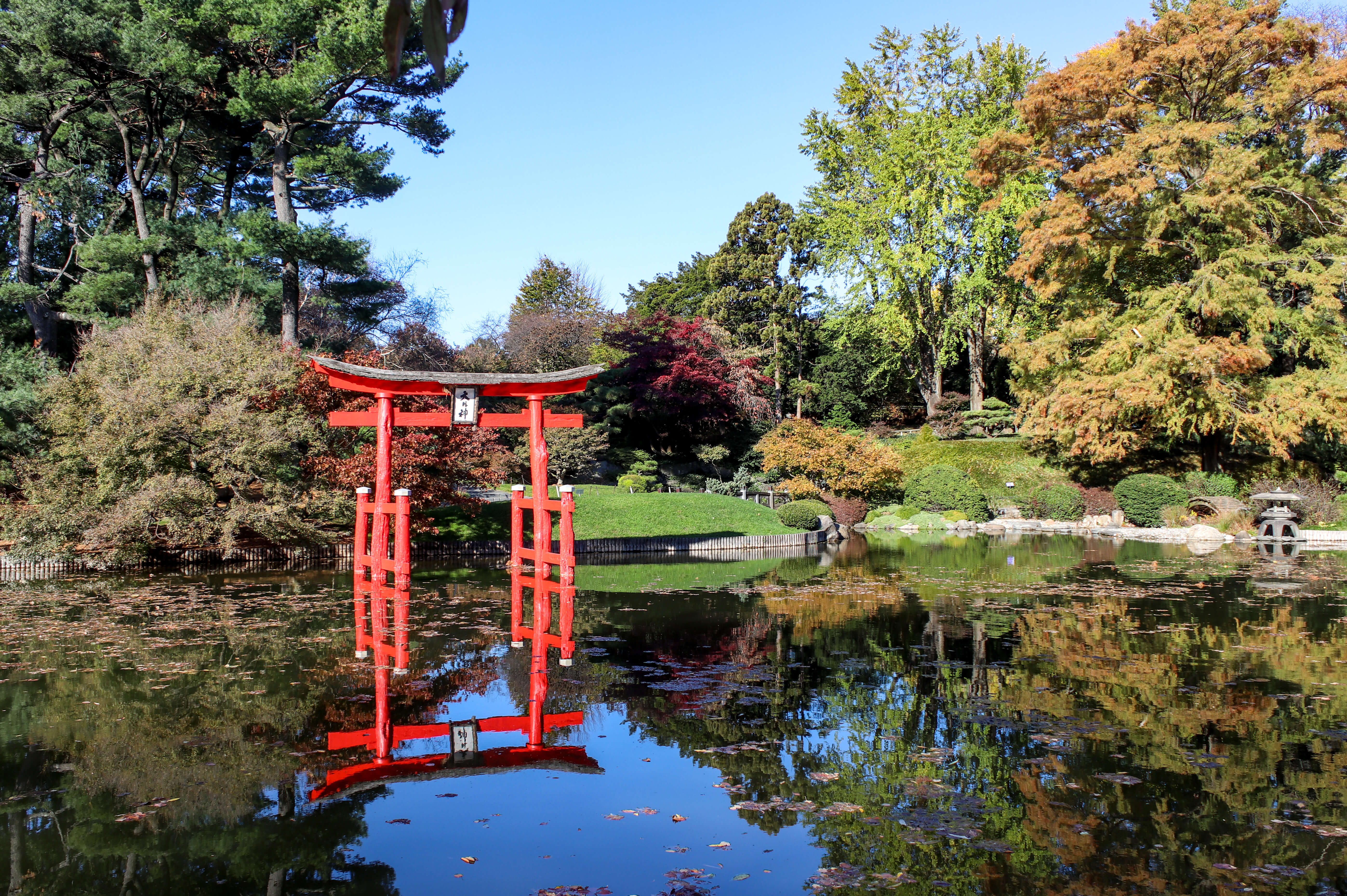 japanese hill and pond garden