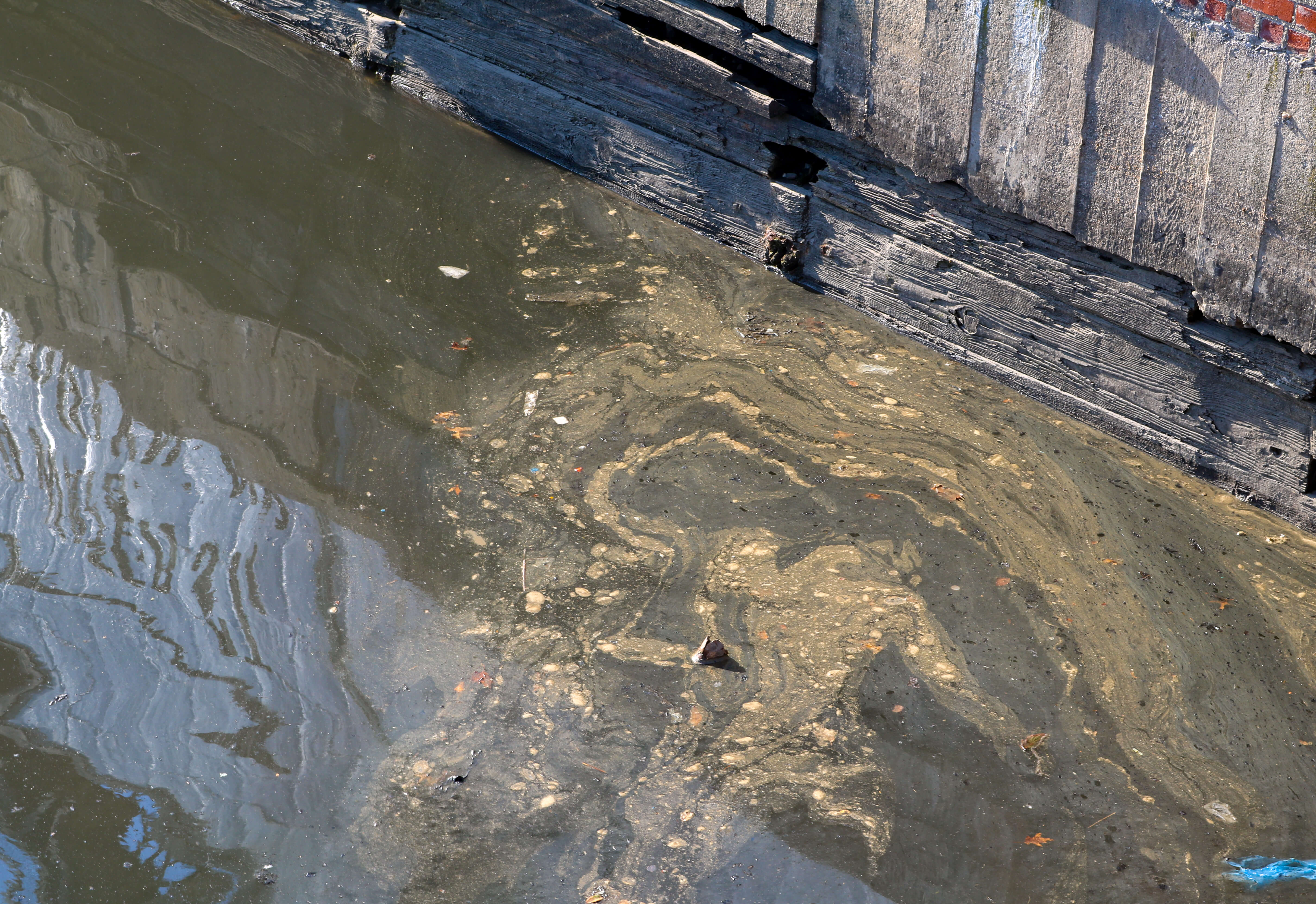 gowanus canal pollution