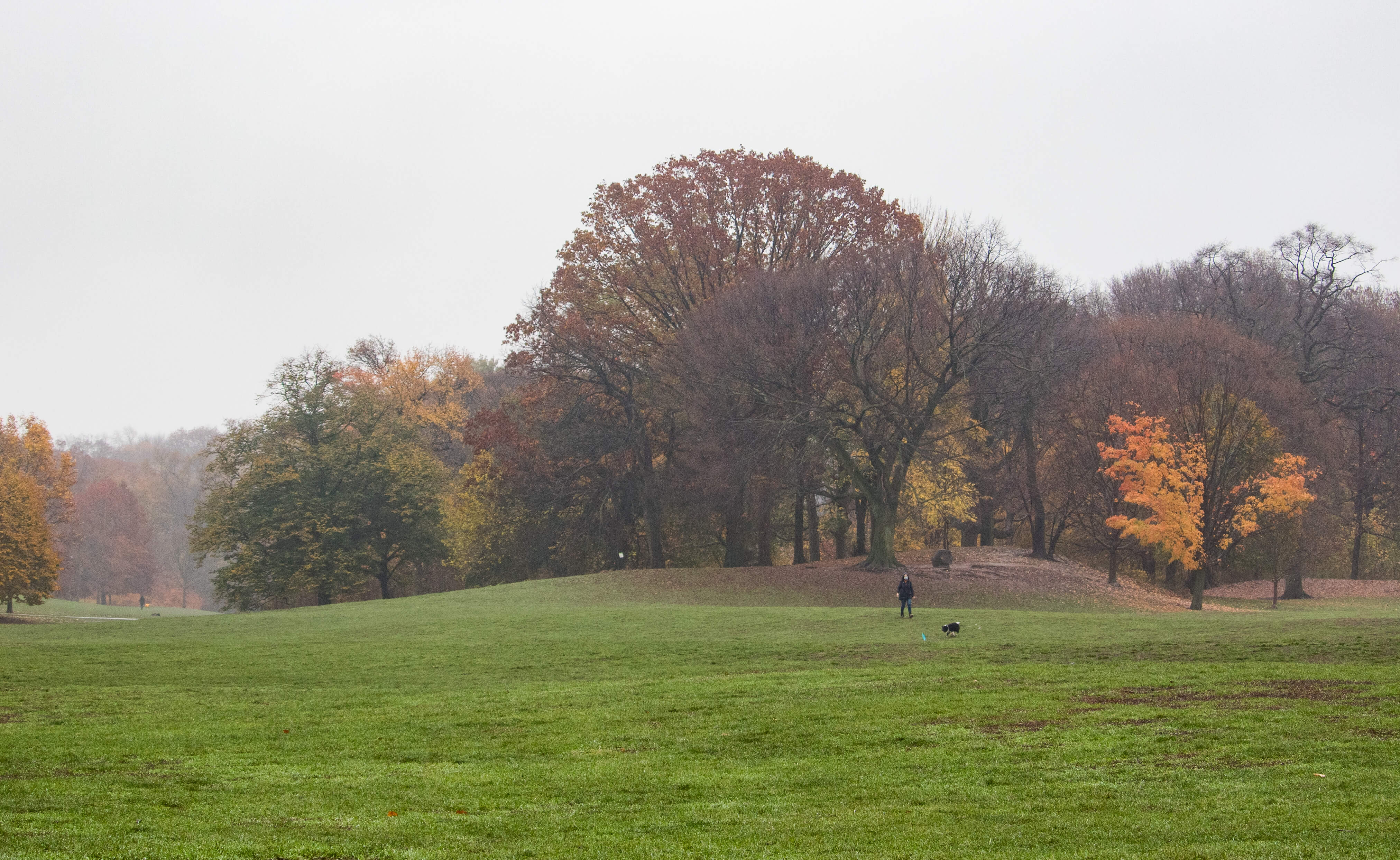 prospect-park-brooklyn-rain-fall-2020-links-sdevries-1
