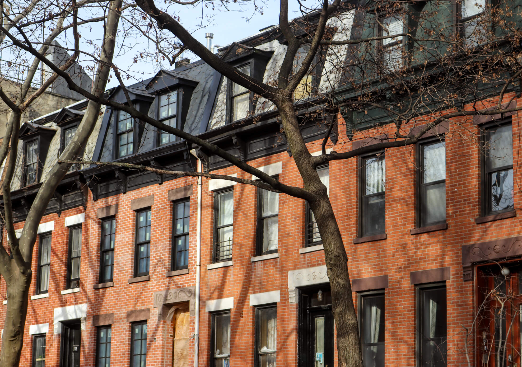 boerum hill streetscape