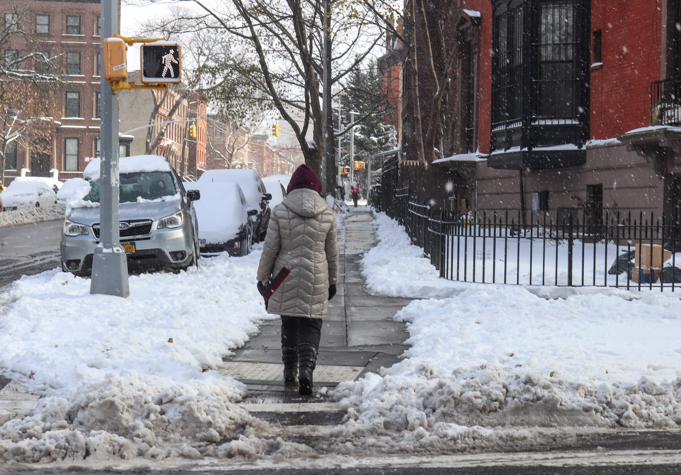 fort greene in the snow