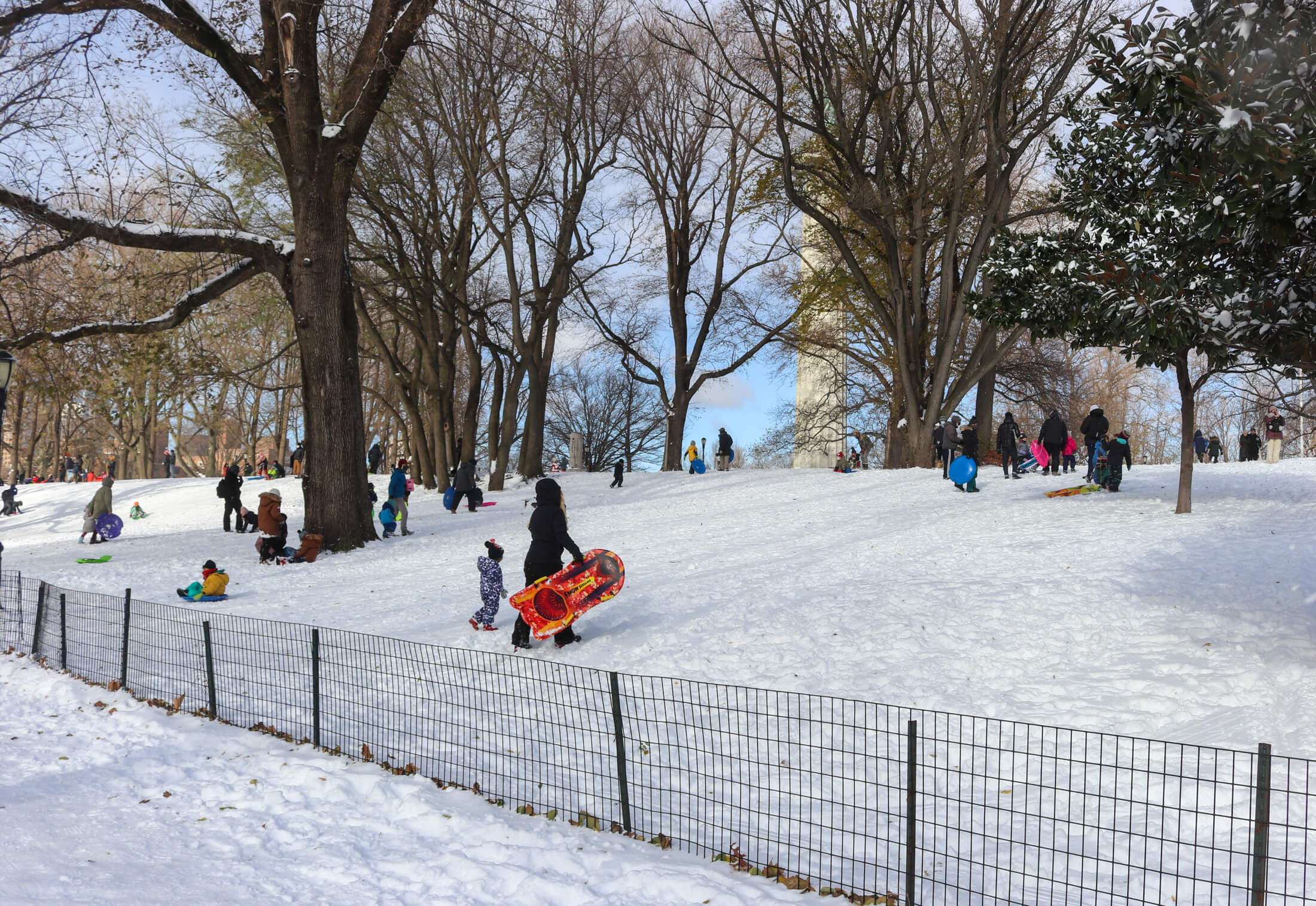 fort greene in the snow