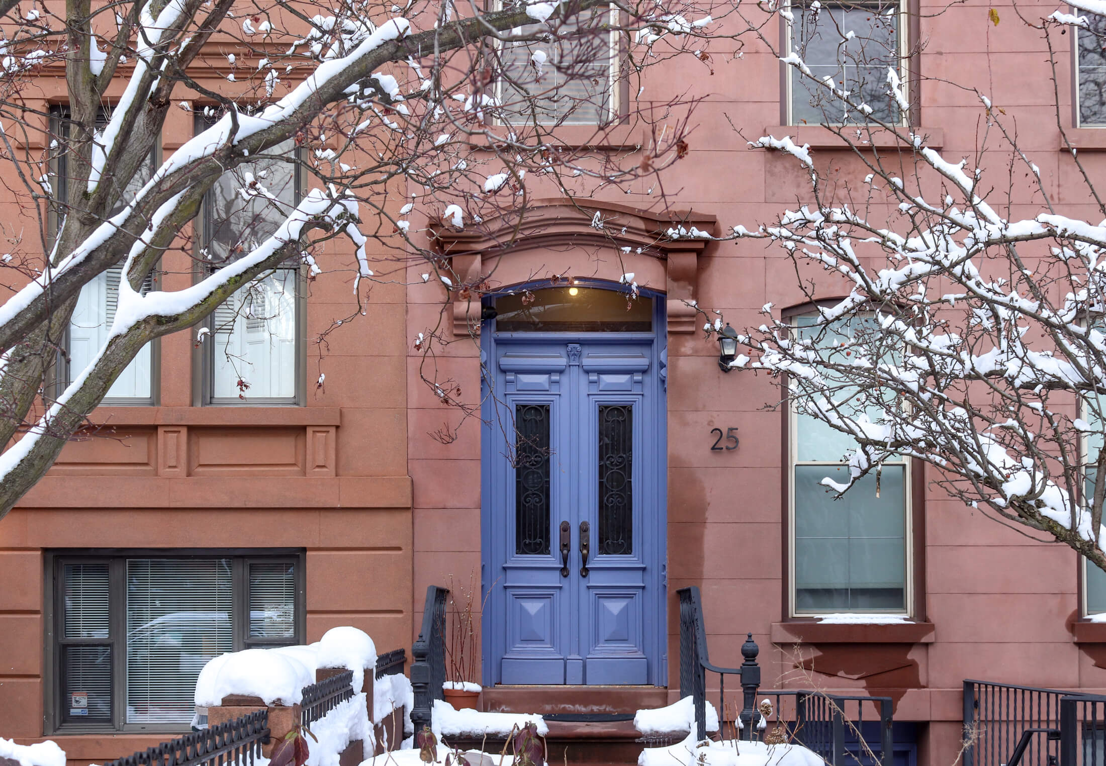 carroll gardens