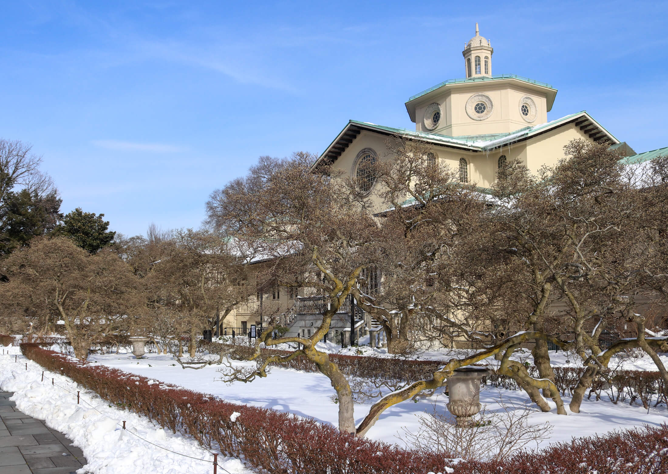 brooklyn botanic garden