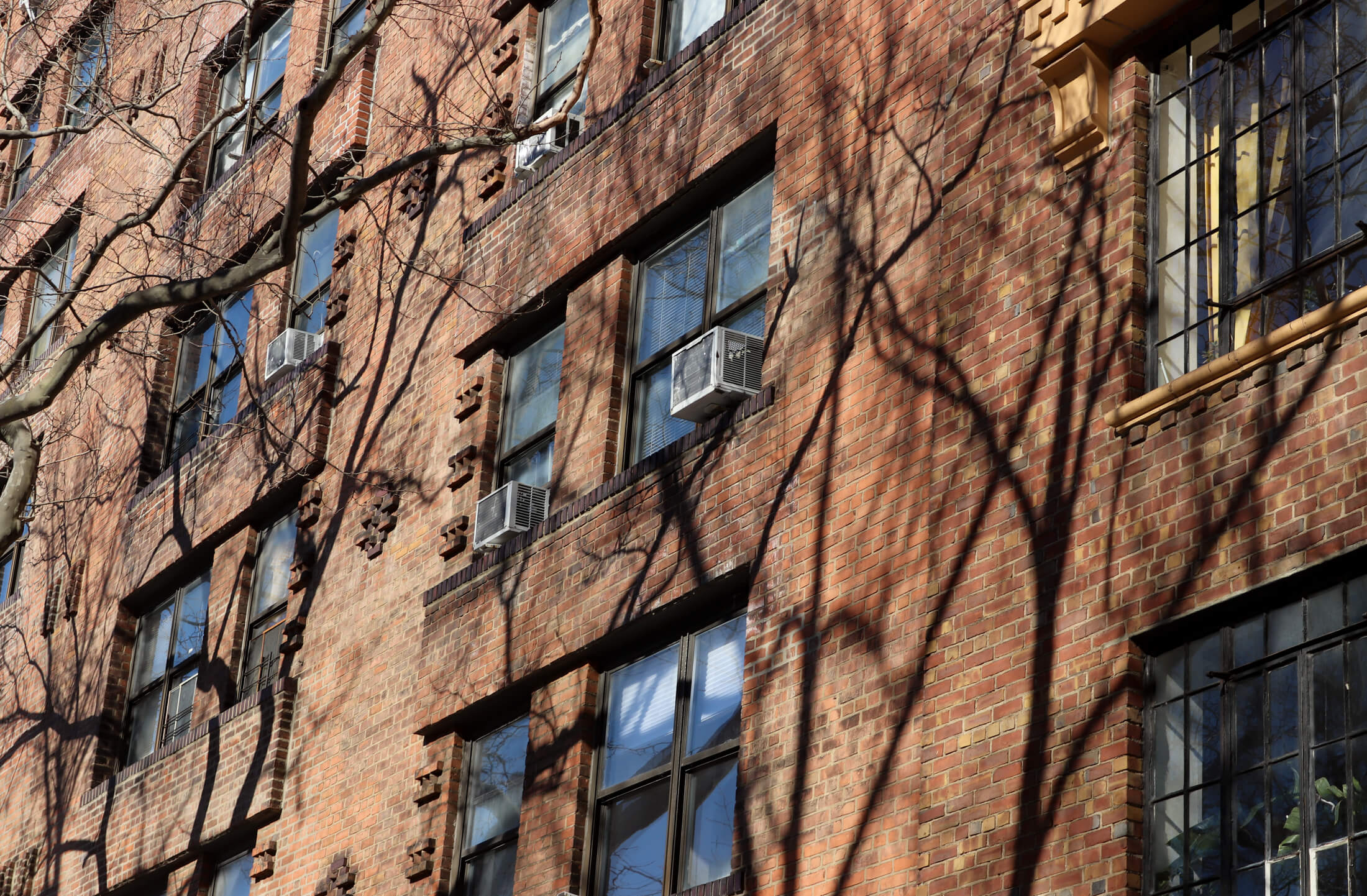 building in fort greene brooklyn