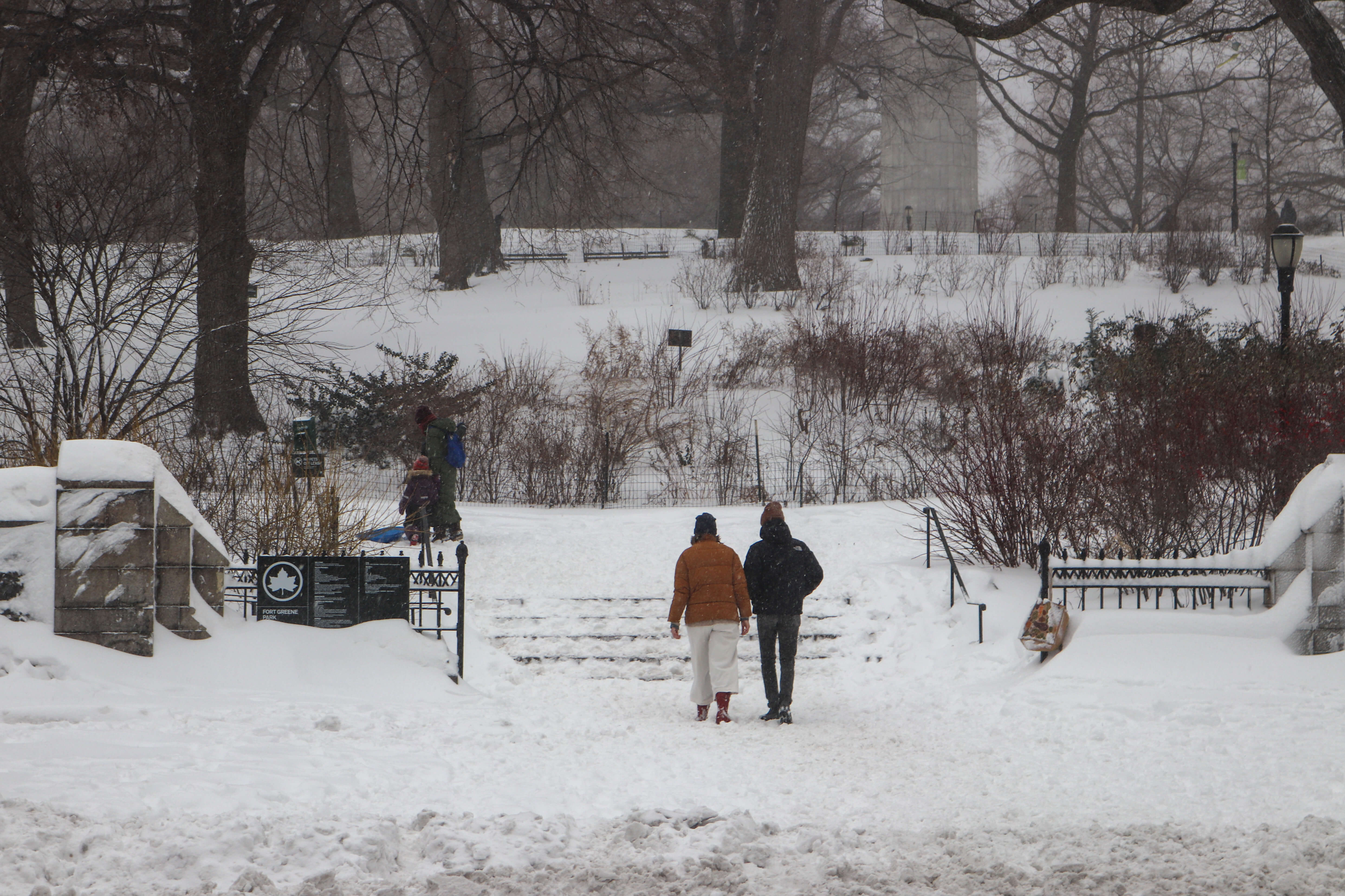 brooklyn snow