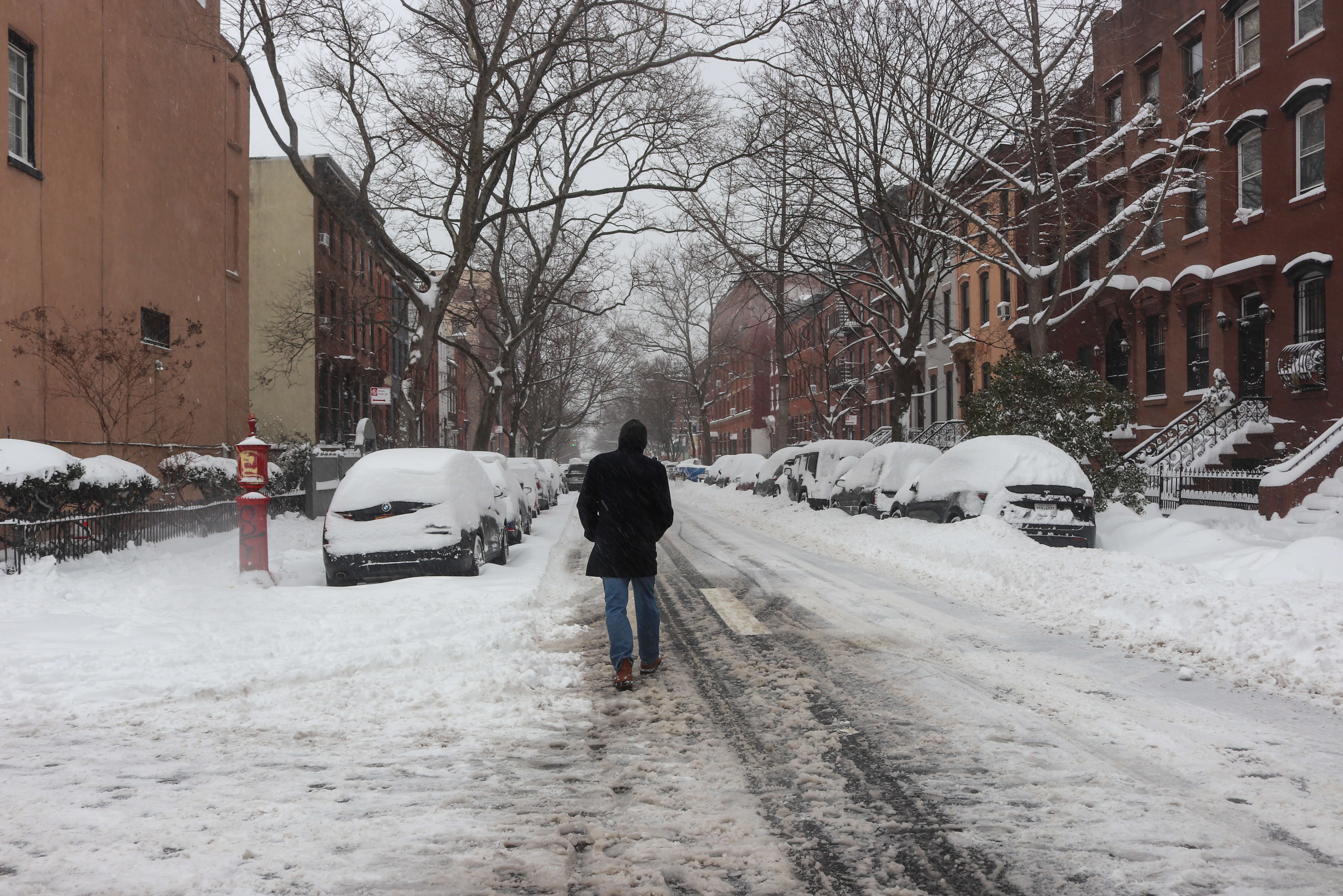 brooklyn snow