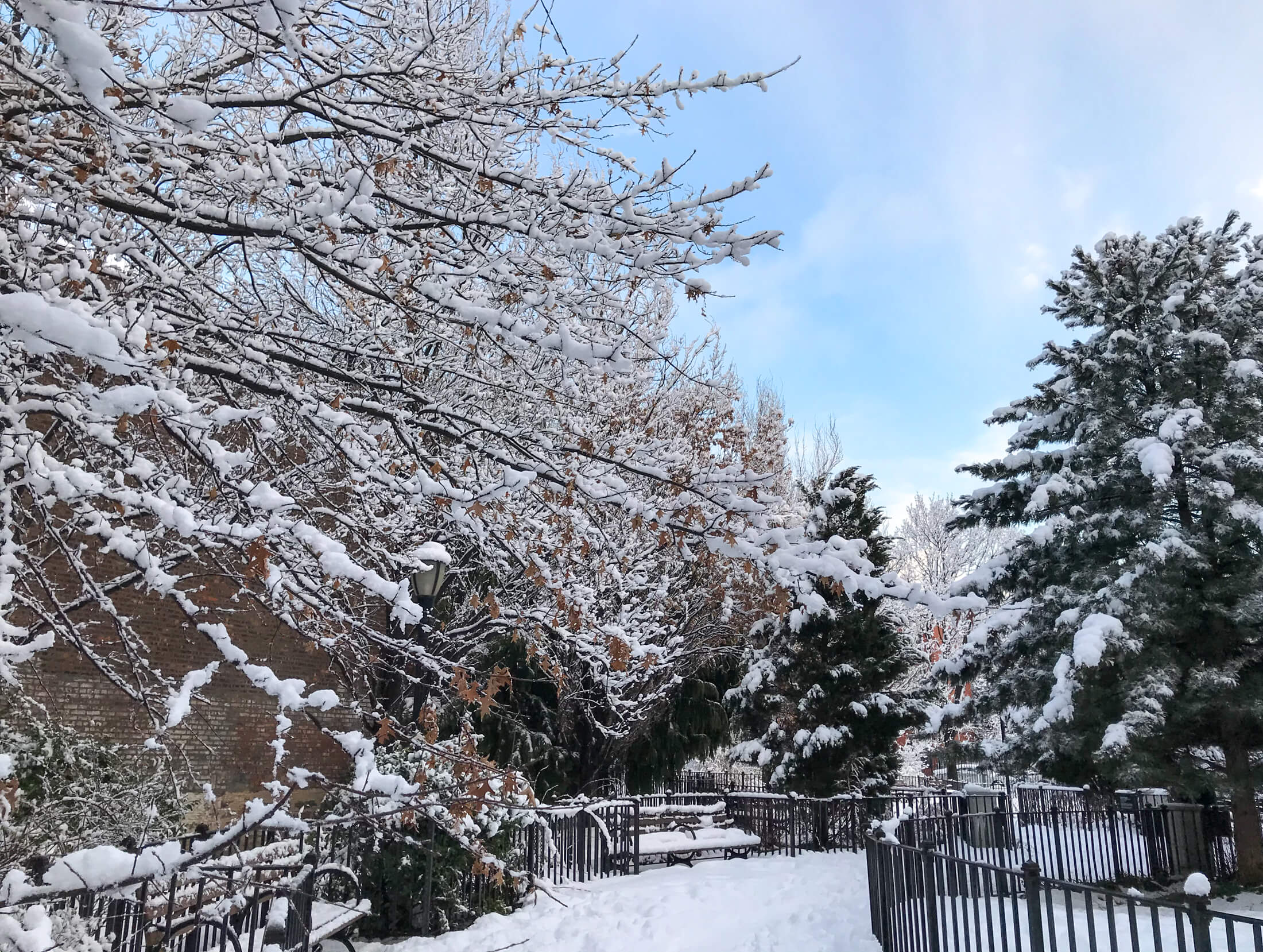 ocean hill in the snow