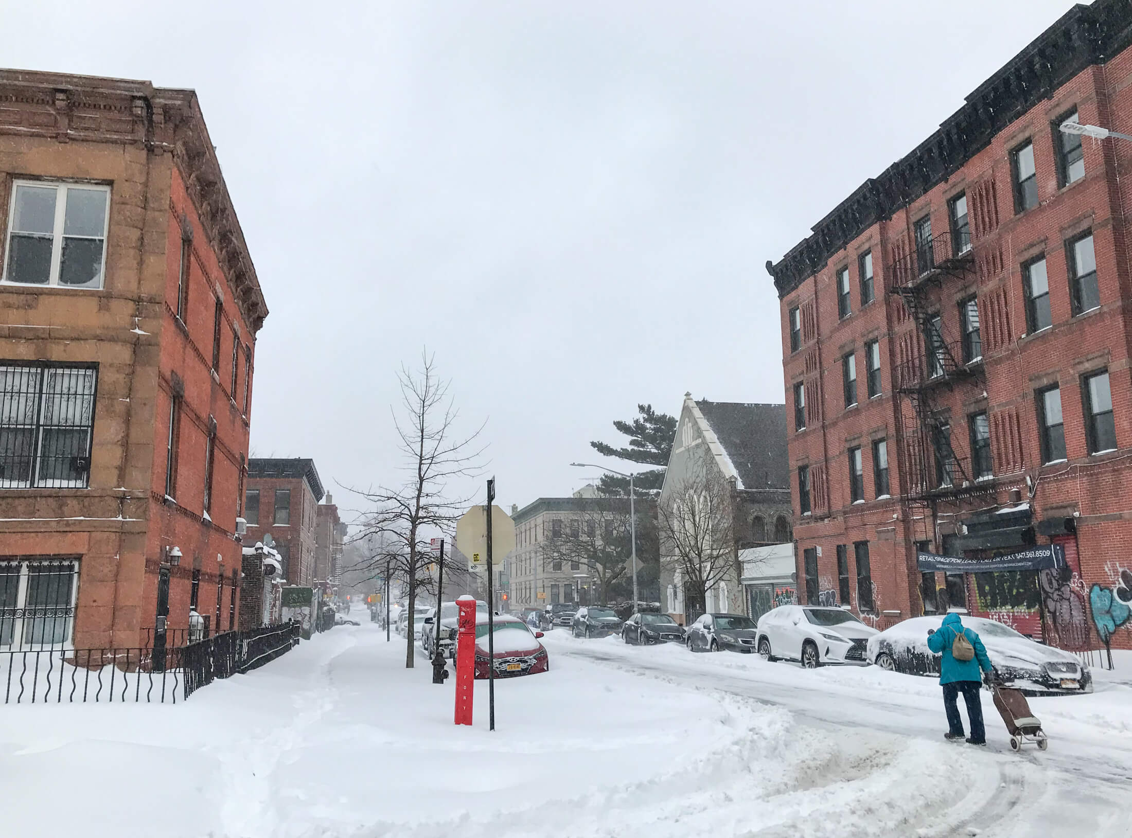 brooklyn snow