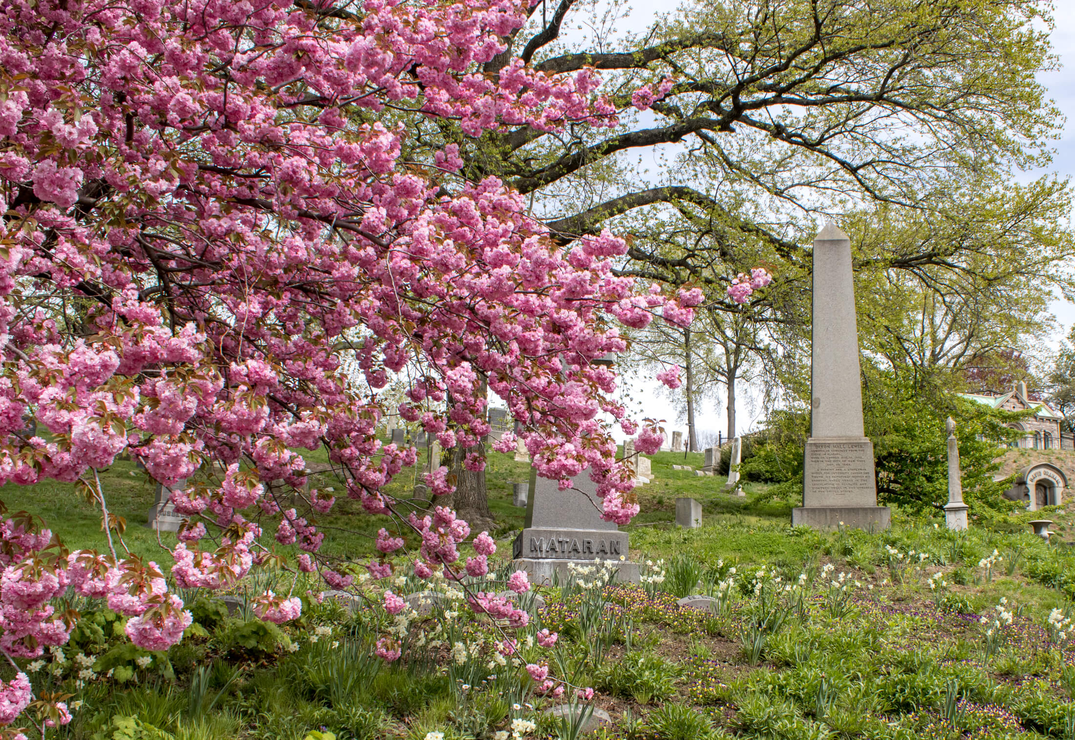 green-wood cemetery