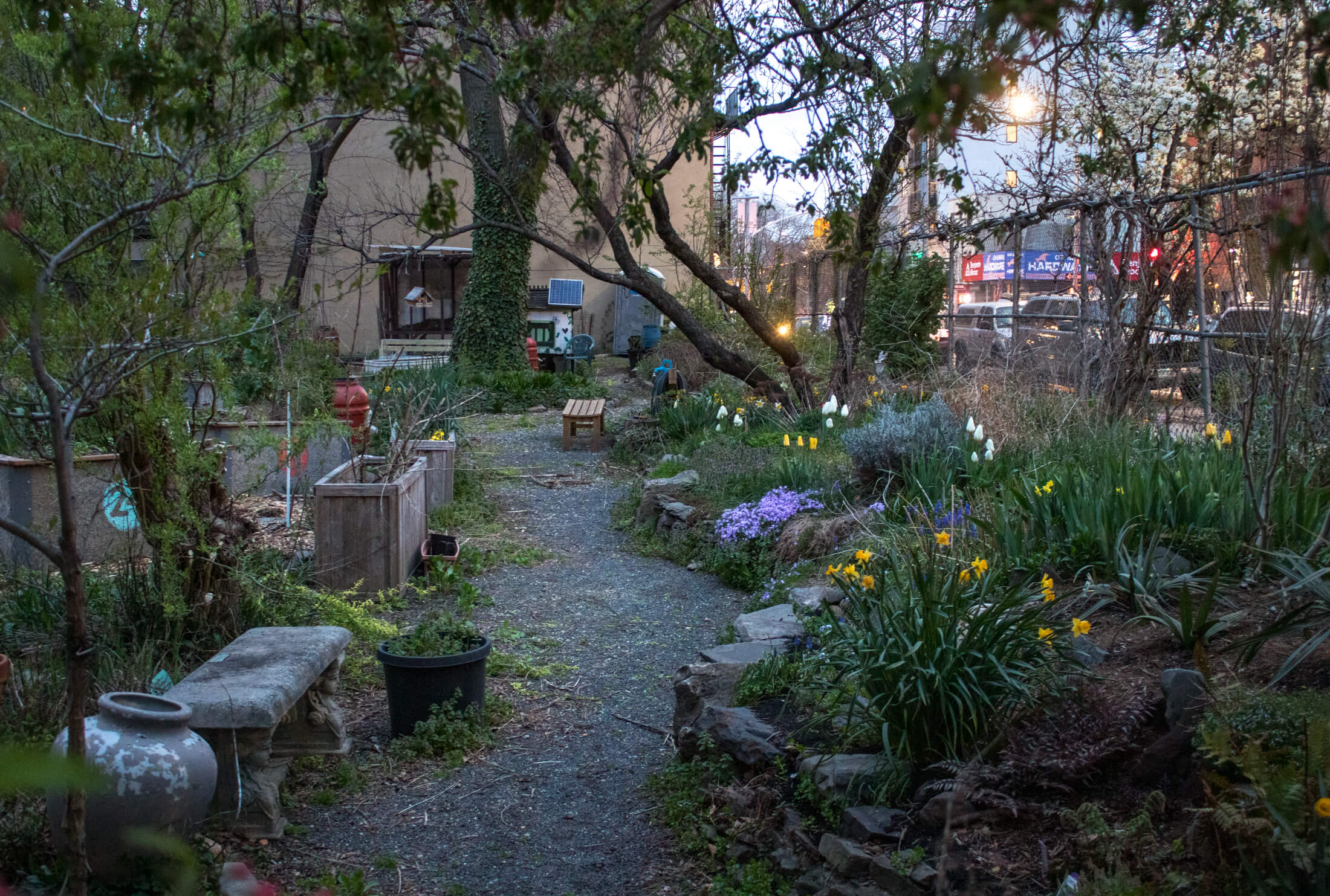 green acres community garden greene and franklin avenues