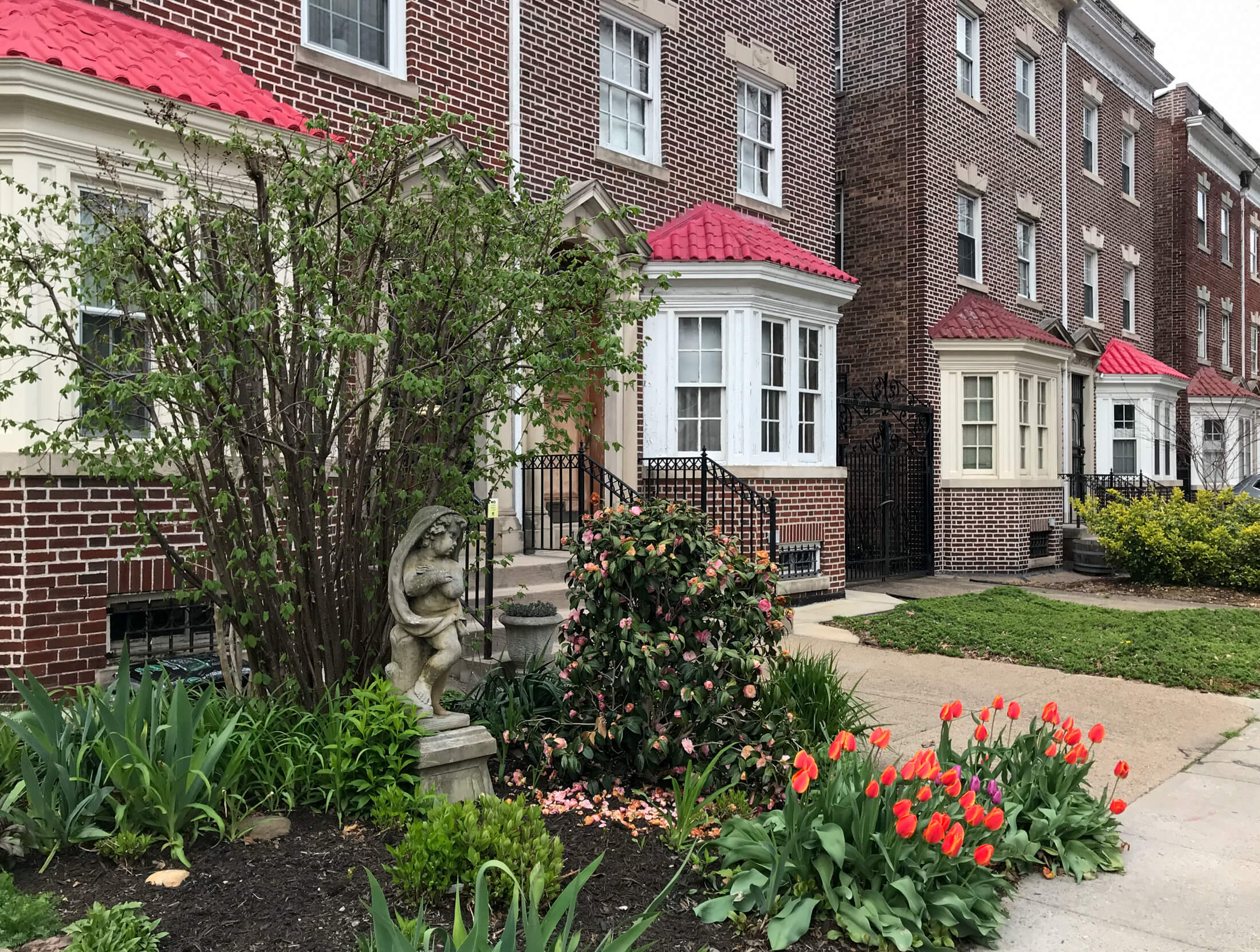 midwood street in plg