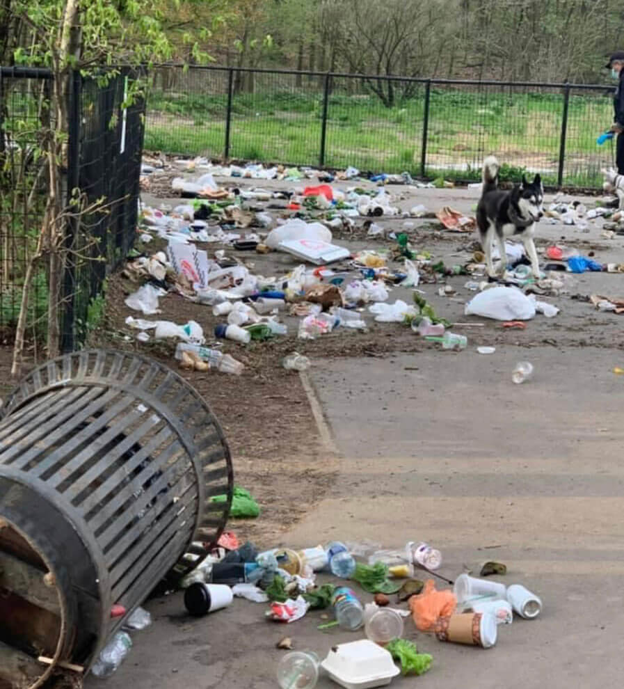 trash in prospect park