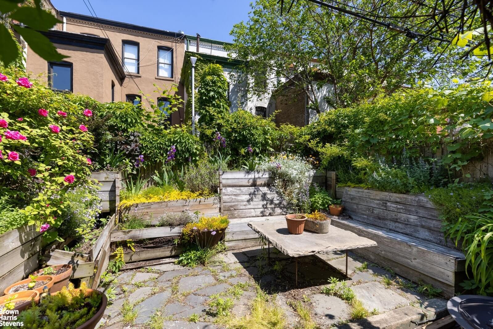 garden at 763 hancock street in bed stuy