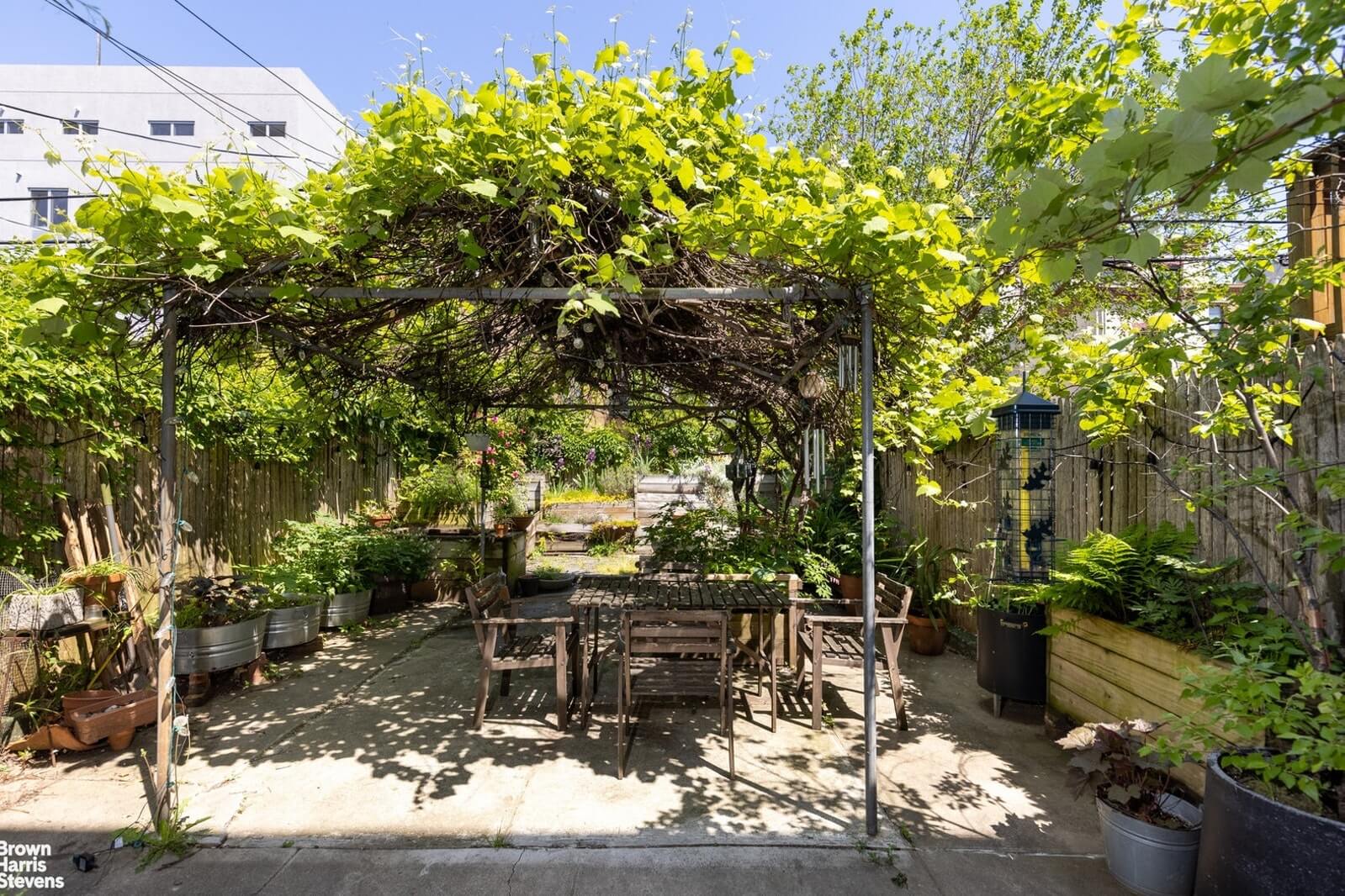 garden at 763 hancock street in bed stuy