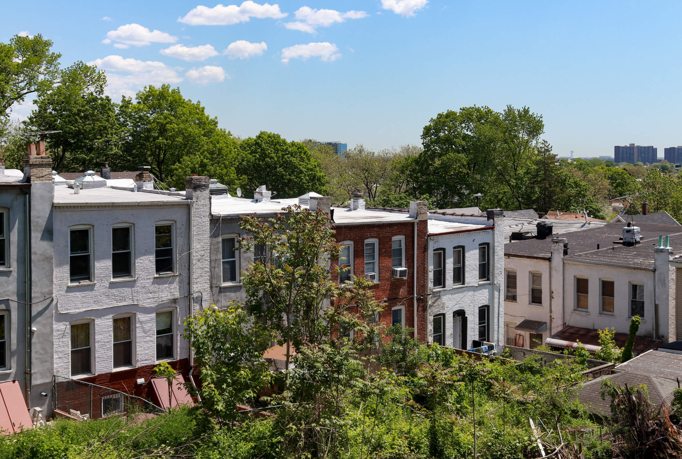 cypress hills brooklyn