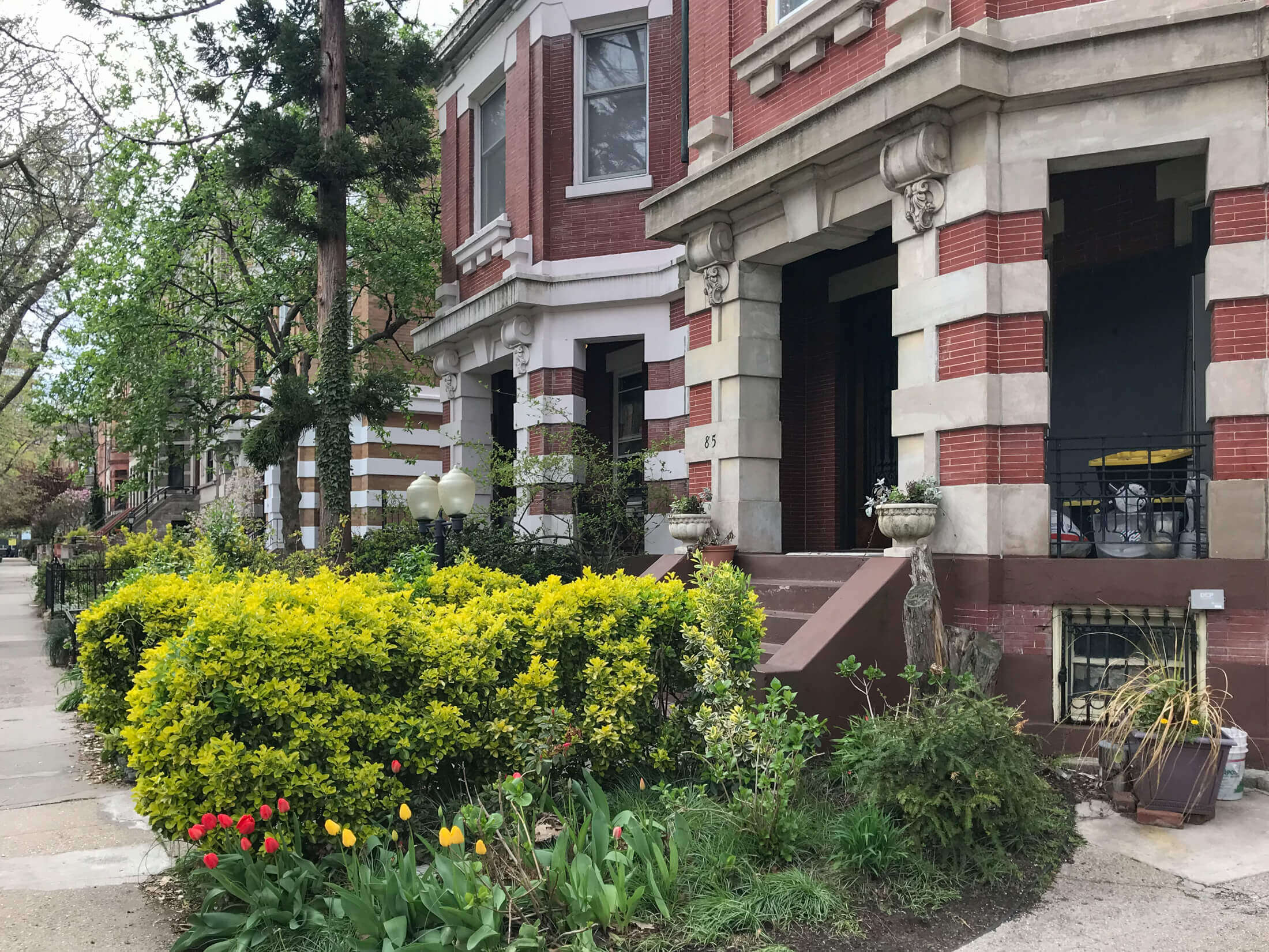 plg brooklyn exterior