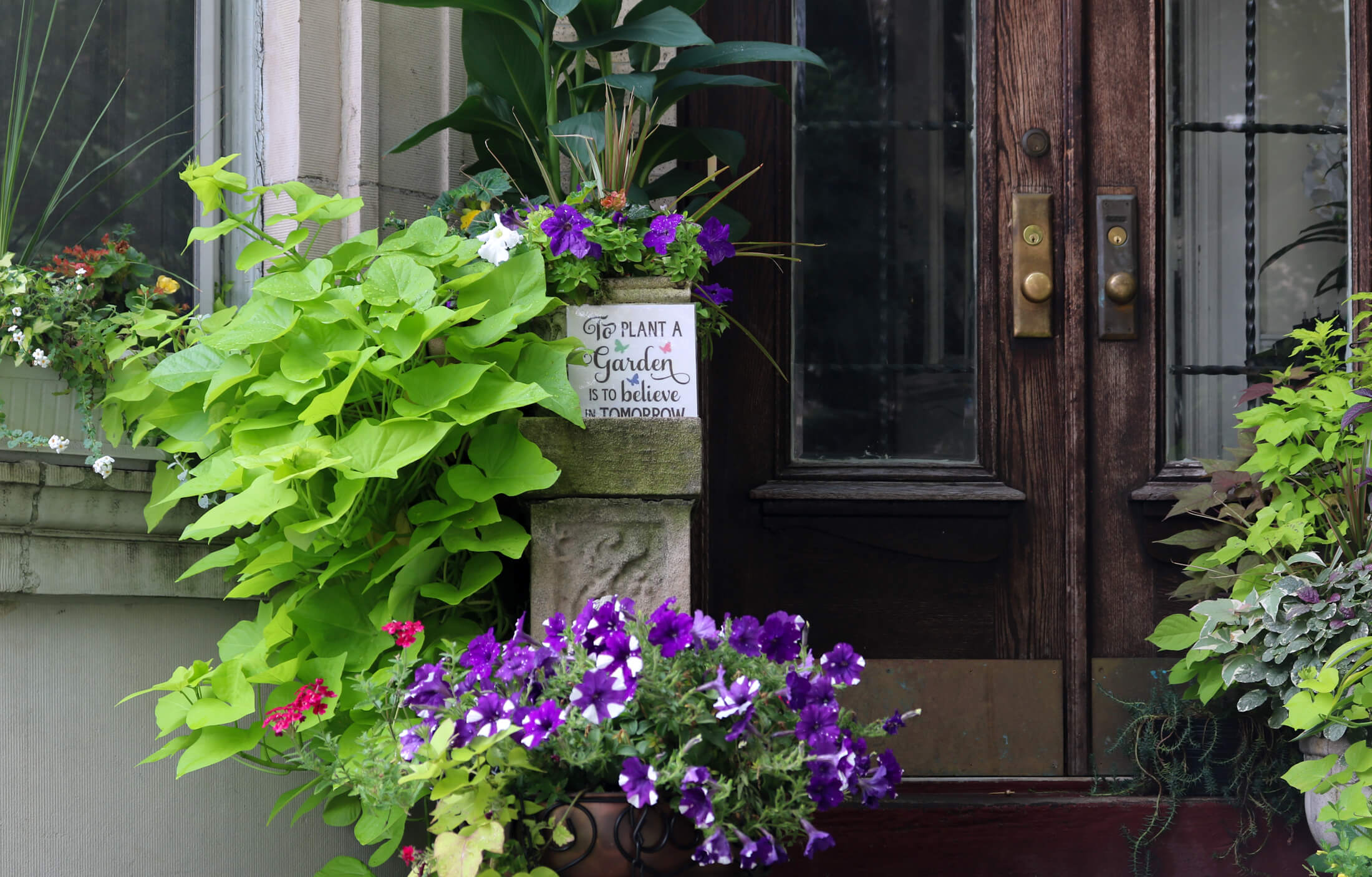 flowers in prospect lefferts gardens