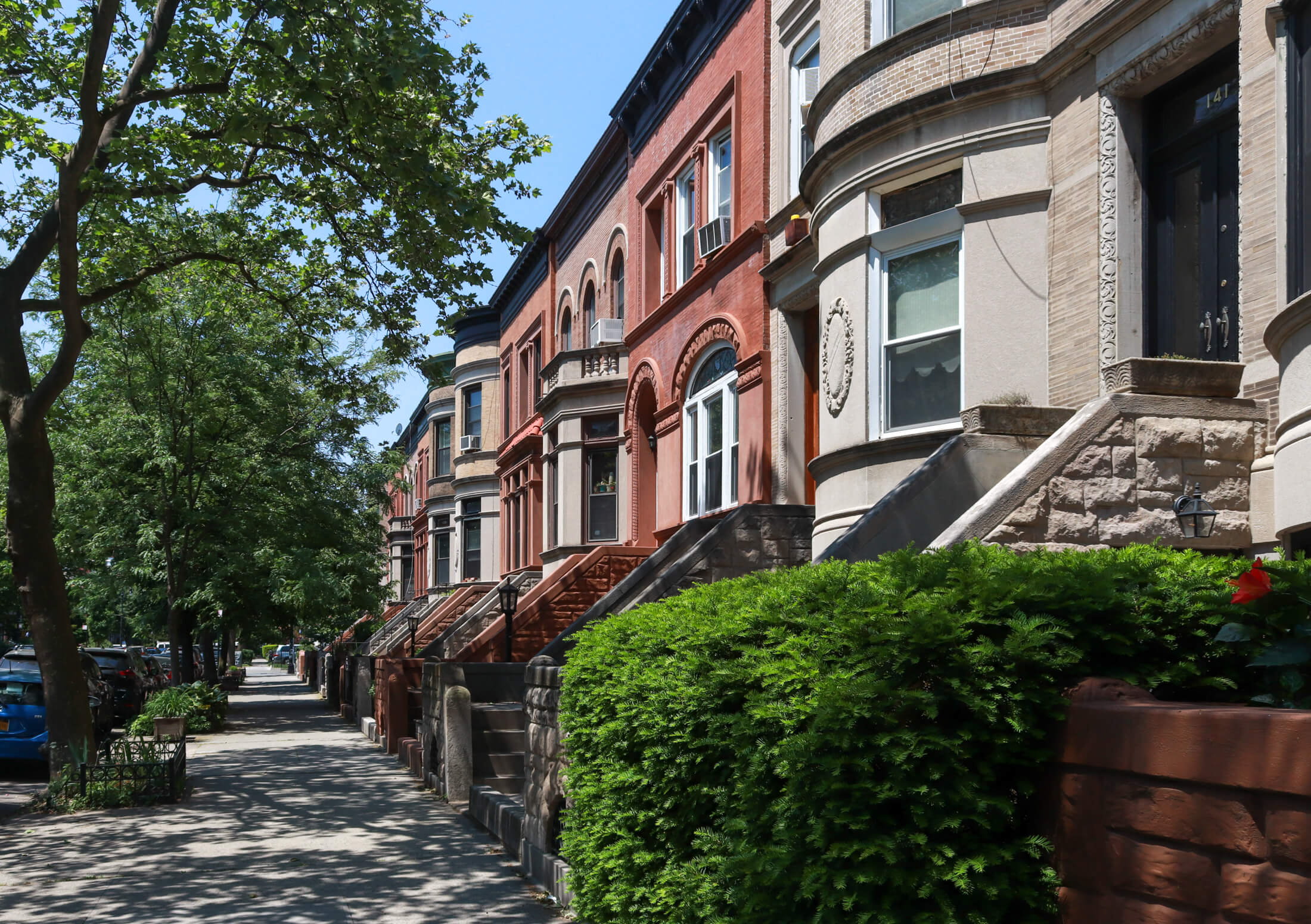 streetscape in prospect lefferts gardens brooklyn