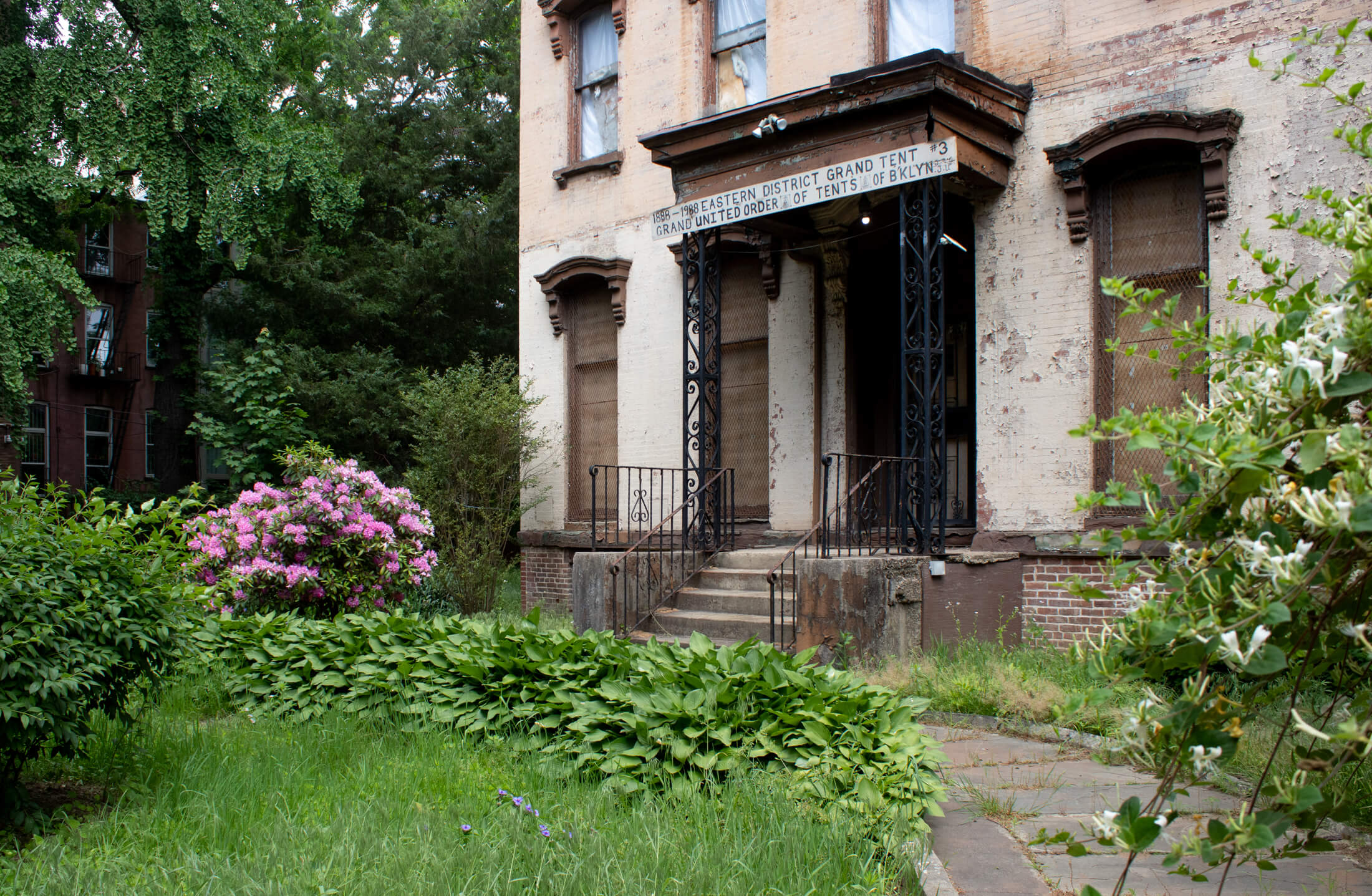 bed stuy brooklyn