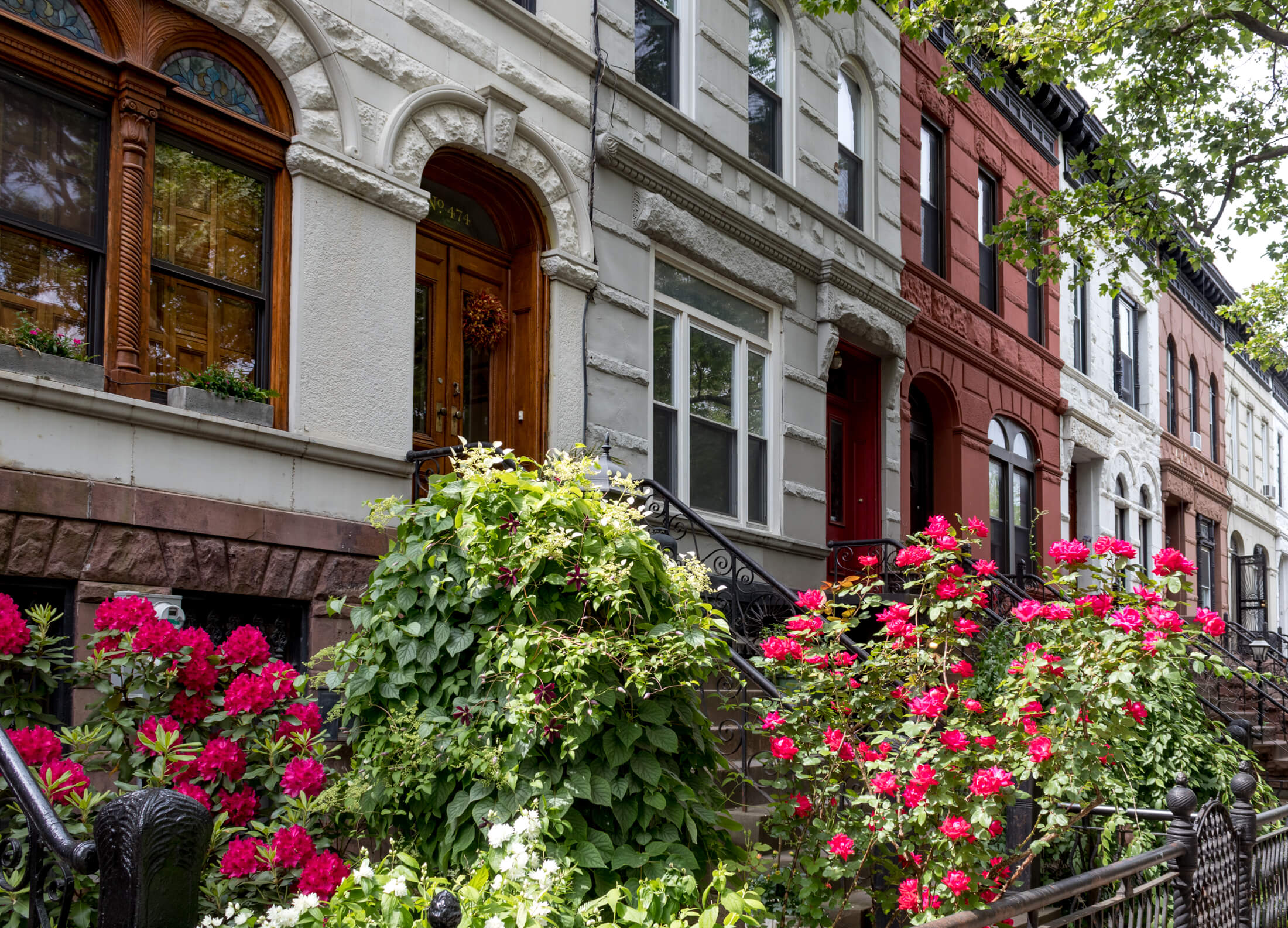 bed stuy brooklyn