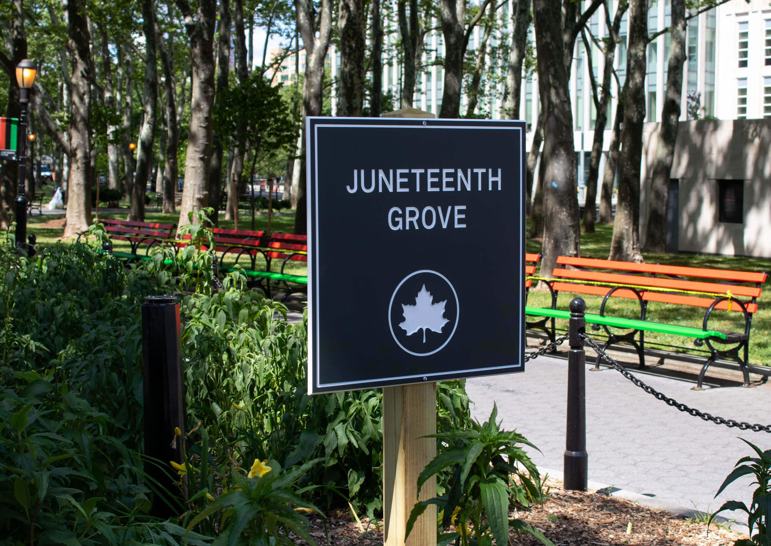 juneteenth grove in downtown brooklyn