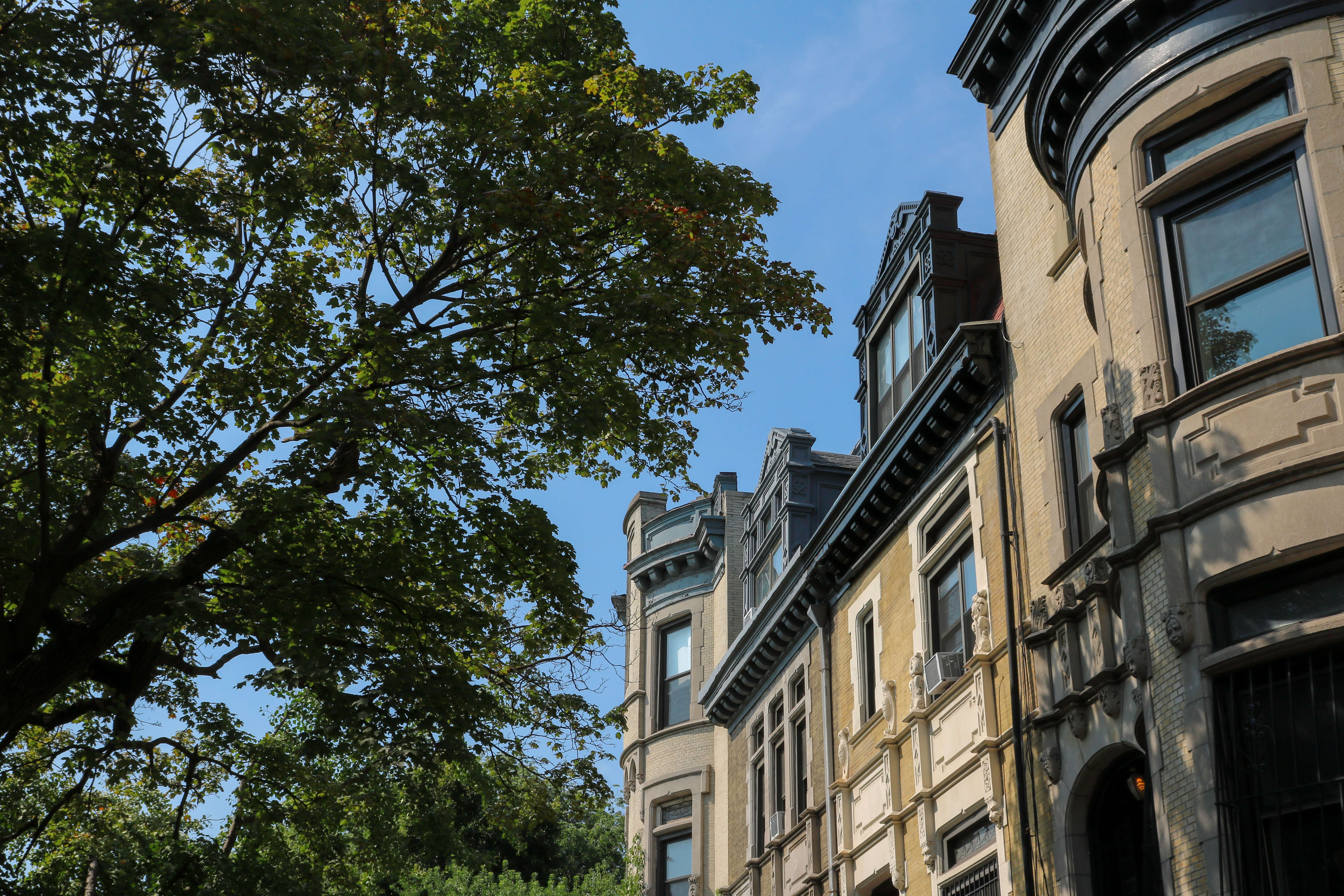 street in crown heights brooklyn