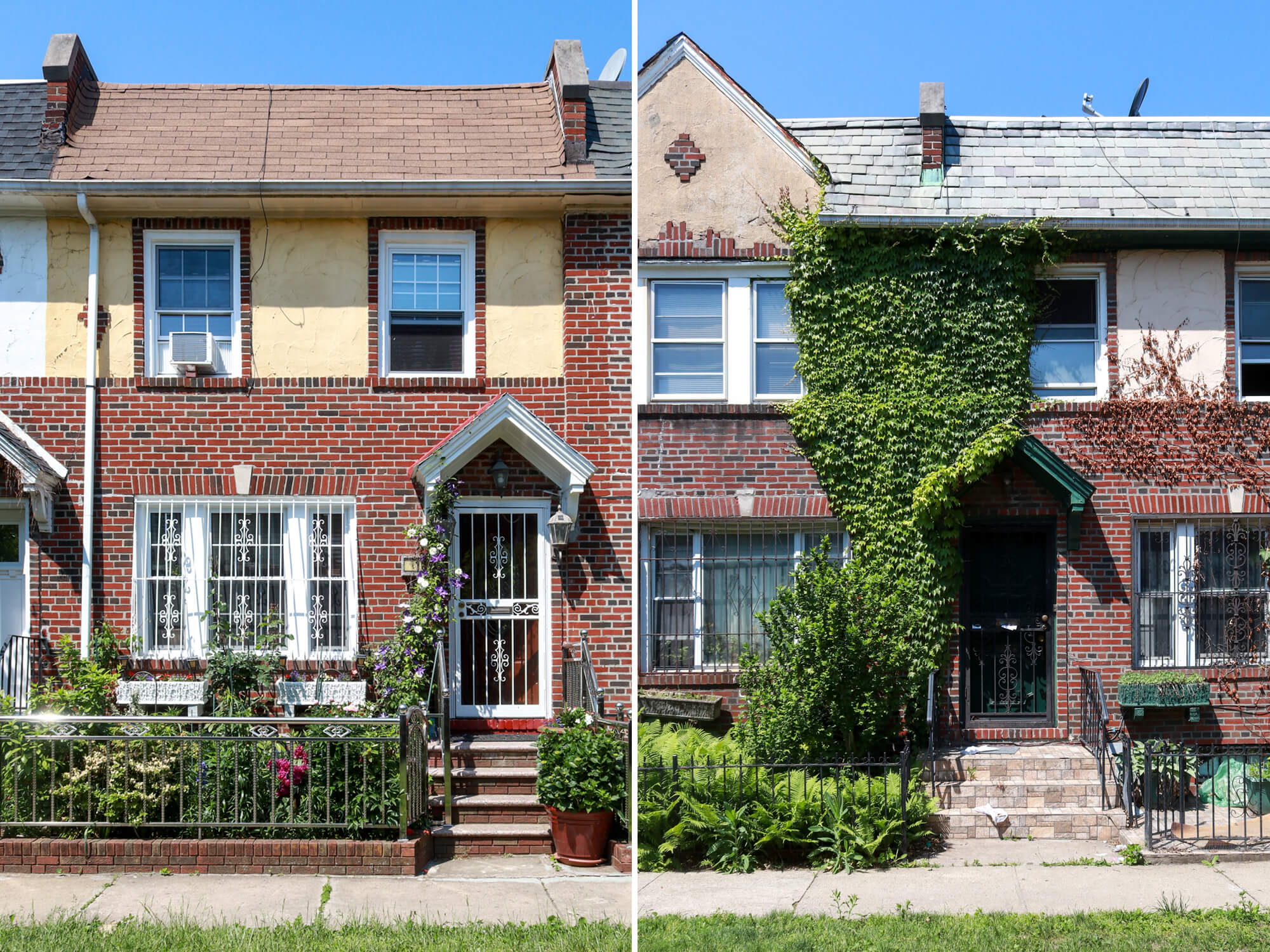 coral gardens in Brooklyn