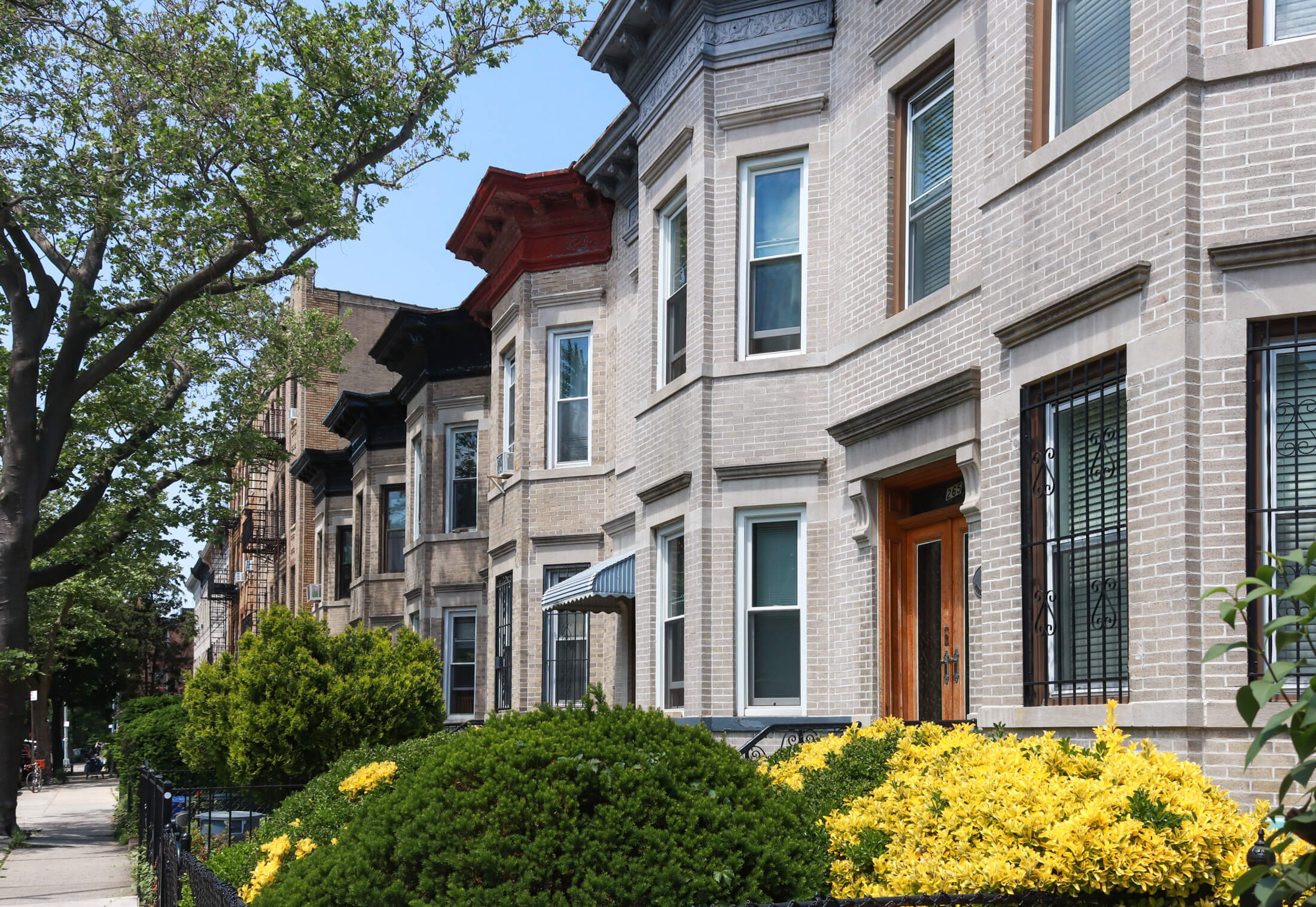 street in prospect lefferts gardens in brooklyn