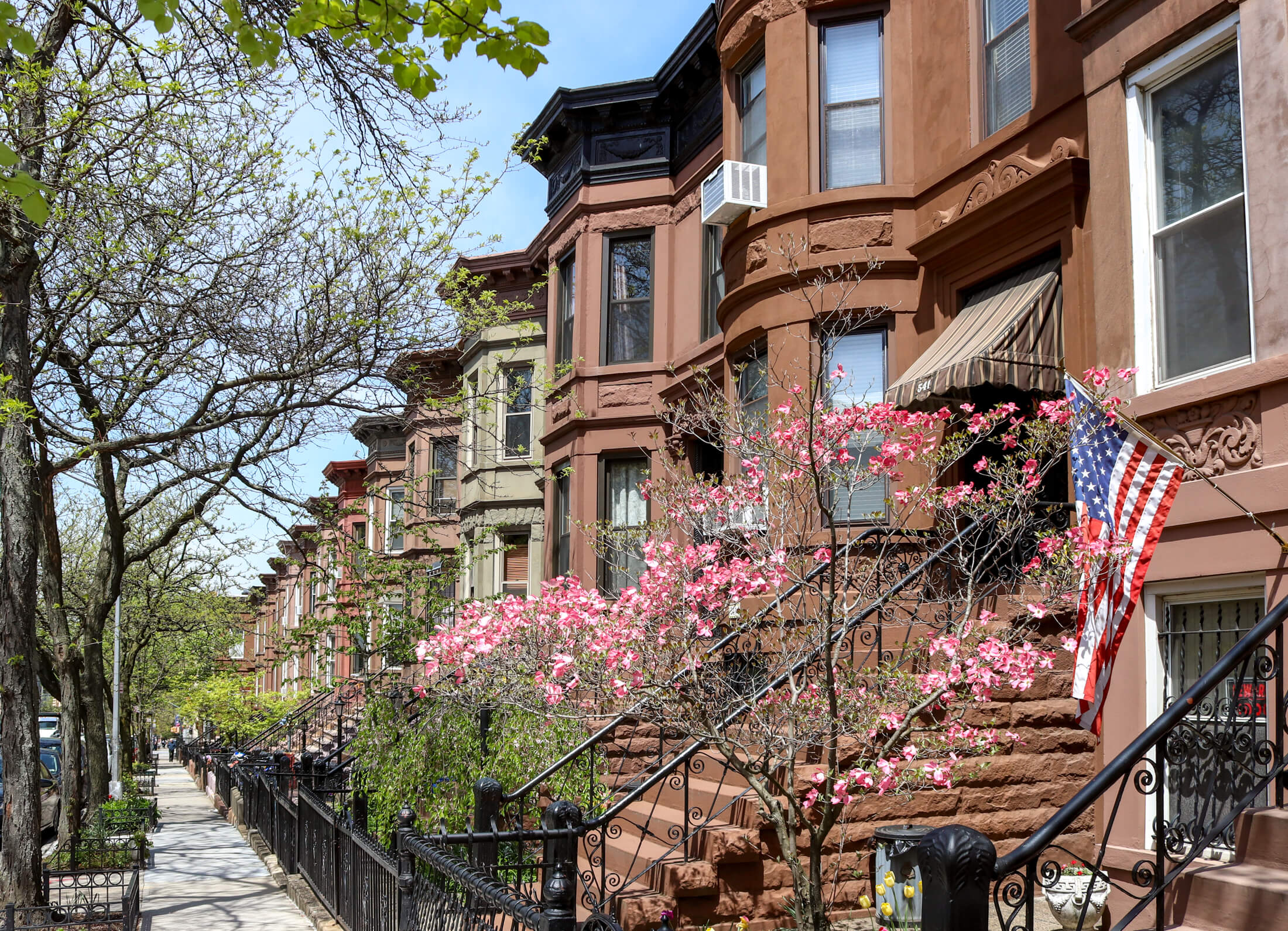 sunset park -row of houses with spring trees and a flag